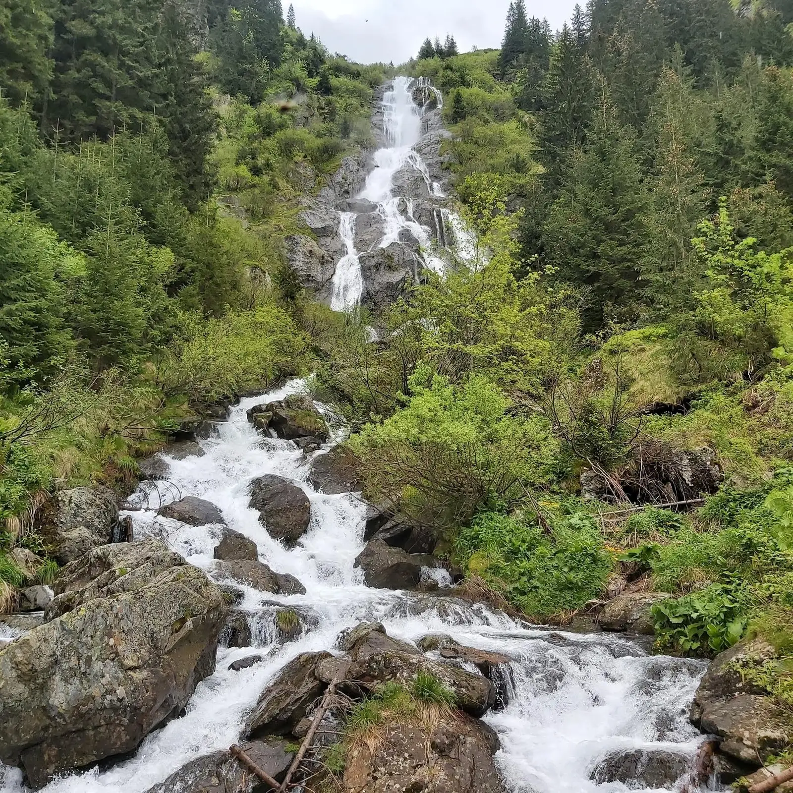 Cascada Serbota - Langa cabana Negoiu