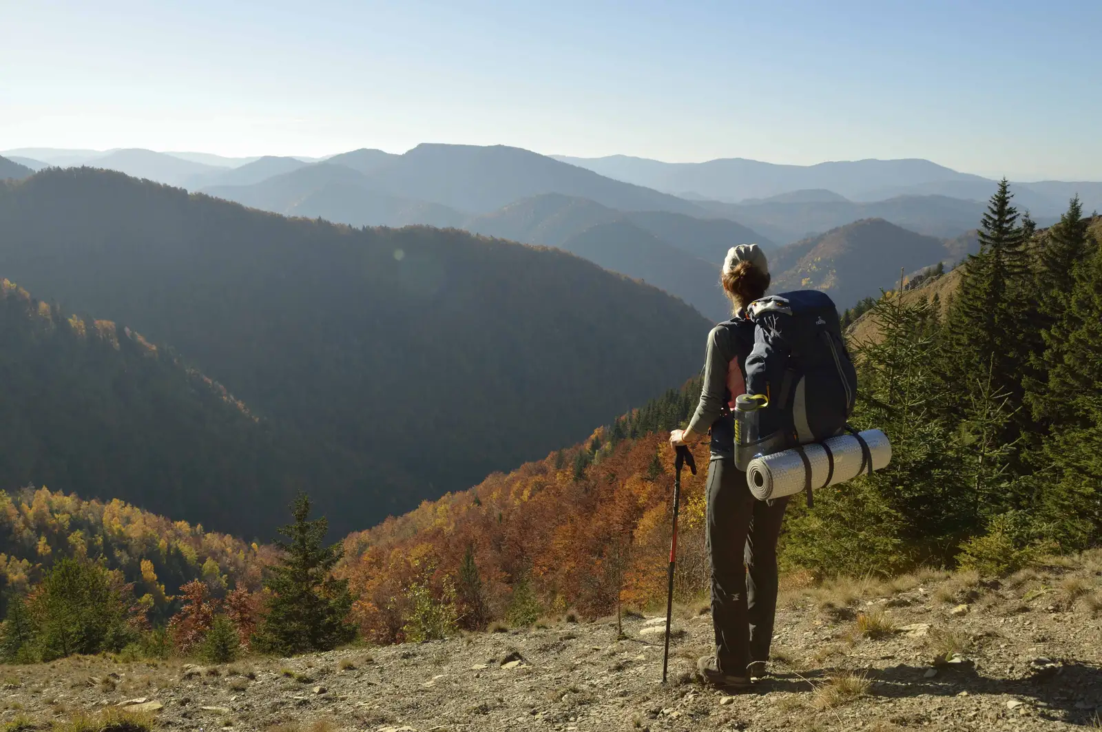 Stâna Cârnituri - Refugiu Vidreni - Golul Roibului