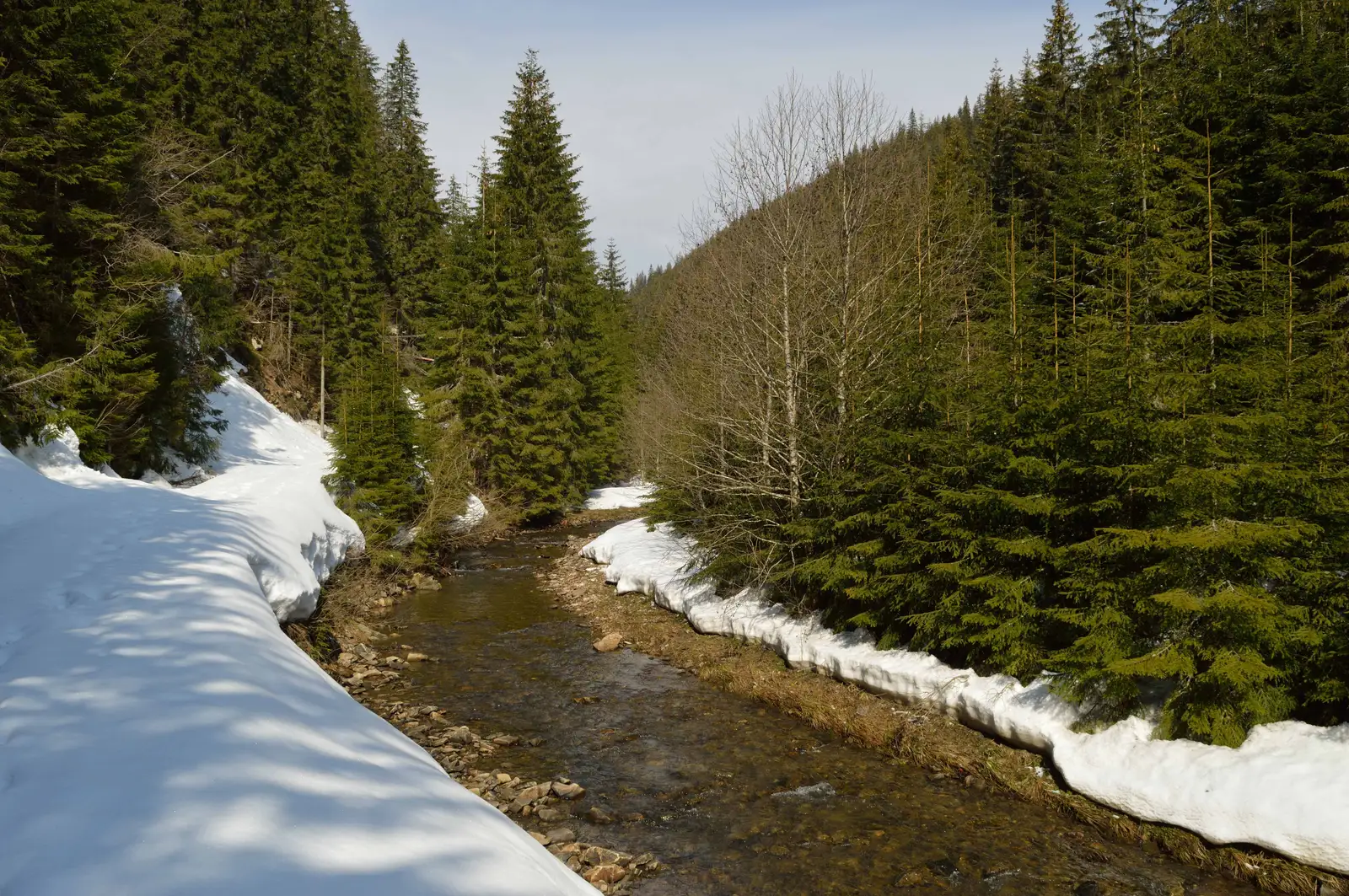 Podu Şchiopului - Golul Pietrosului - Vârful Lăcăuţi