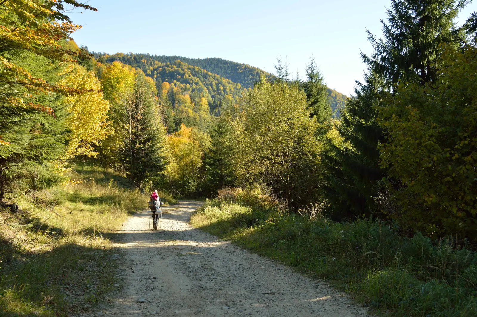 Şaua Geamăna - Valea Pârâului Geamăna (Intersecţie traseu PR)