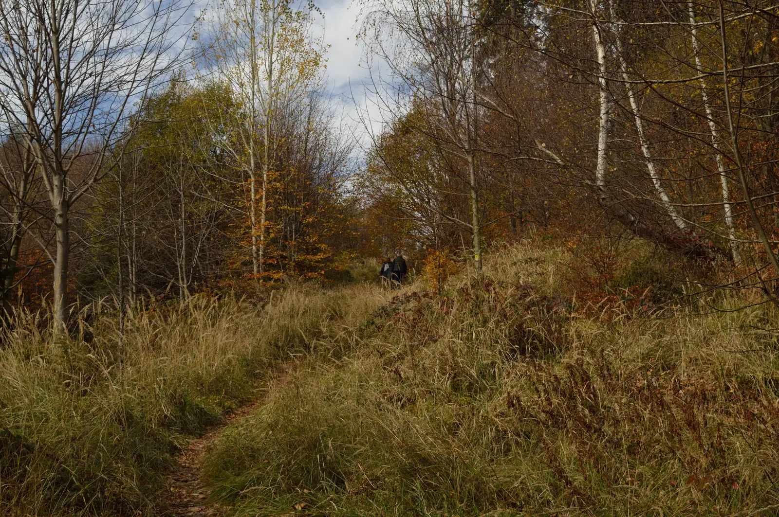 Refugiul Alunu - Cascada Păstaia