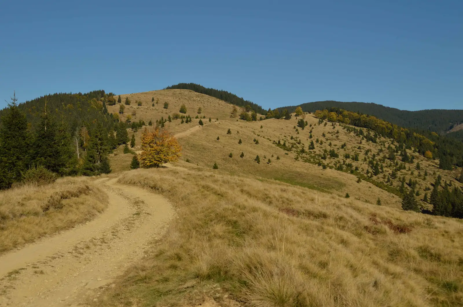 Vintileasca - Cascada Muntioru