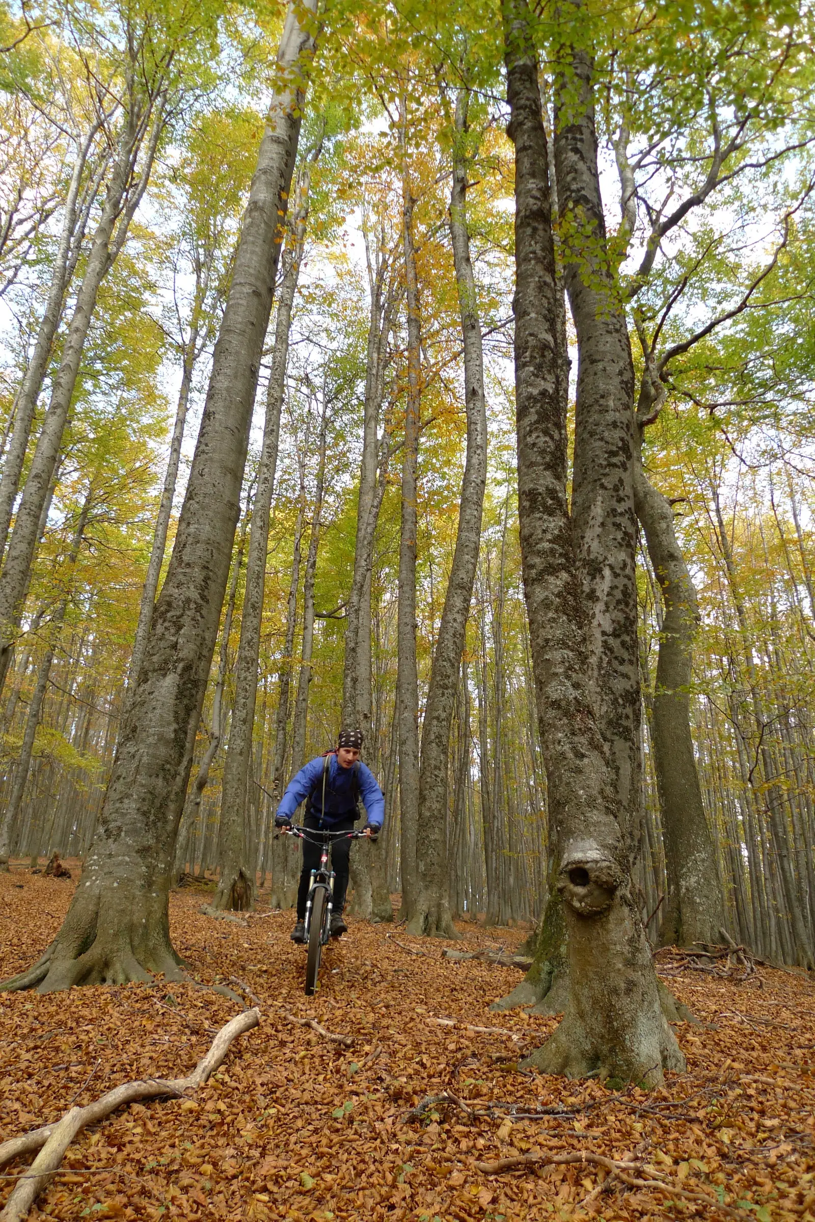 Brebu Nou - Tâlva Negraniţa - Mehadica -  Verendin - poiana Şara (Rădcoasă) - Brebu Nou
