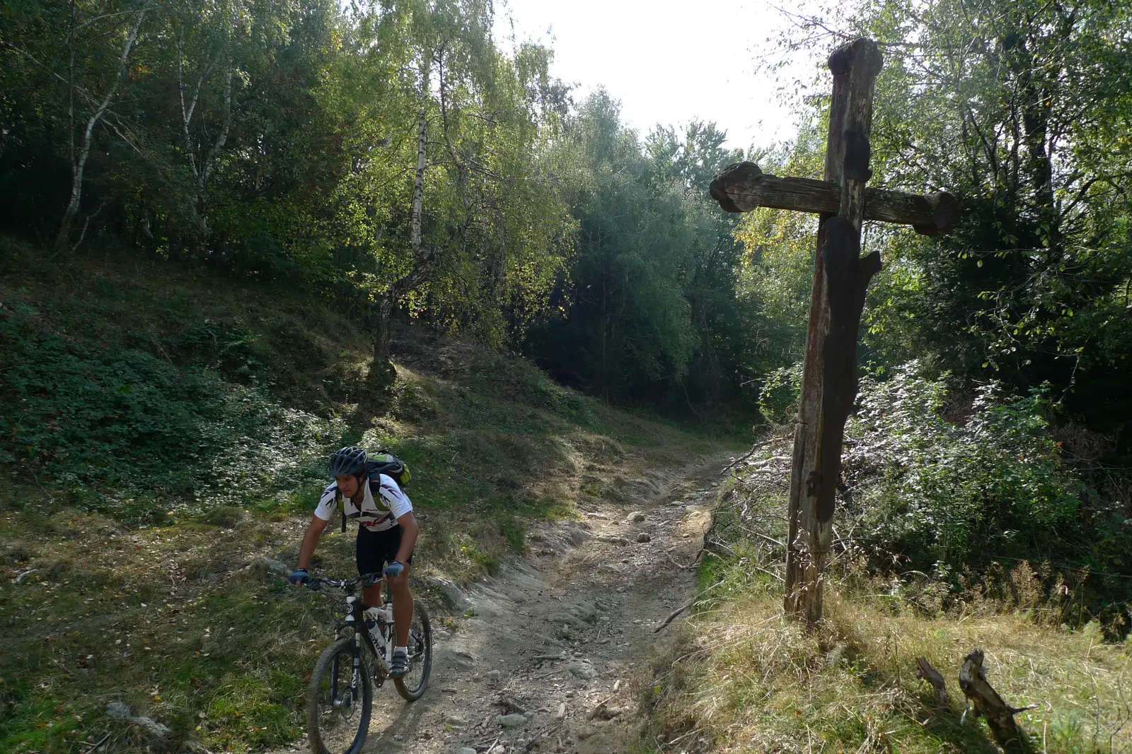Lacul Gozna - cantonul for. Groposu -  cantonul for. Tâlva Câmpului - Lindenfeld - vârful Nemanu Mare - lacul Breazova - lacul Gozna