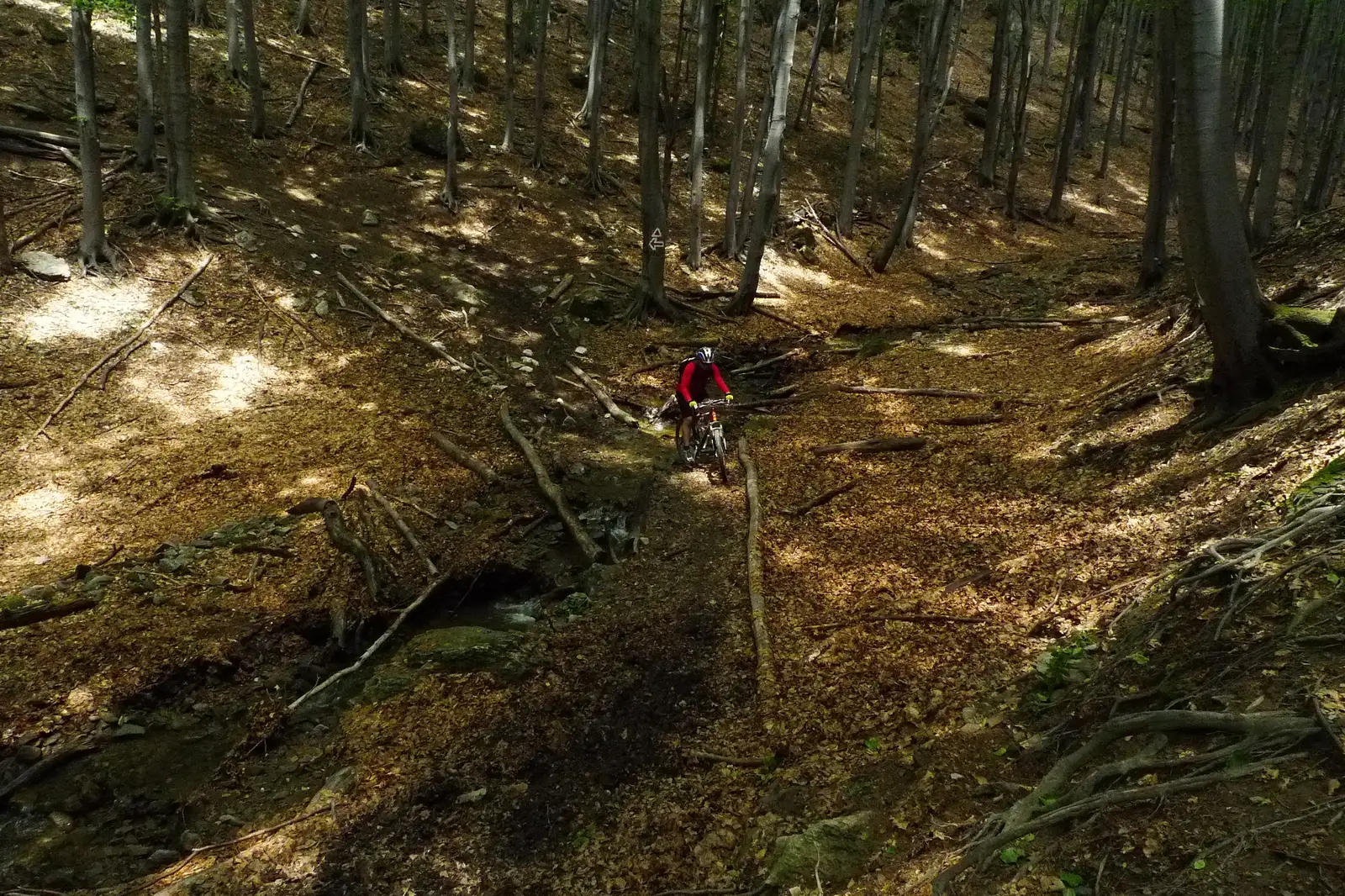 Bogîltin - Prisacina - Globurău - Bogîltin