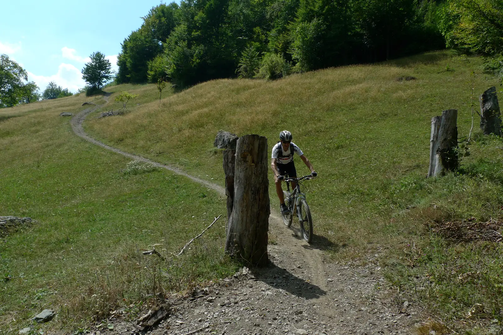 Lacul Poiana Ruscă - Arsuri - Camena - Zmogotin -  vârful Pietrele Albe - lacul Poiana Ruscă
