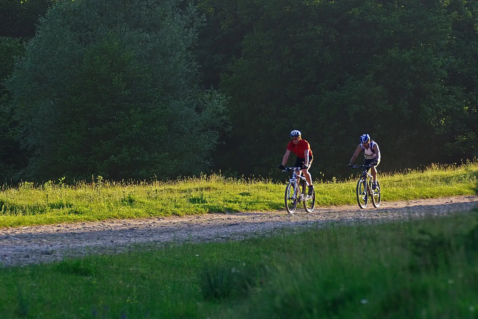 În jurul lacului Poiana Ruscă