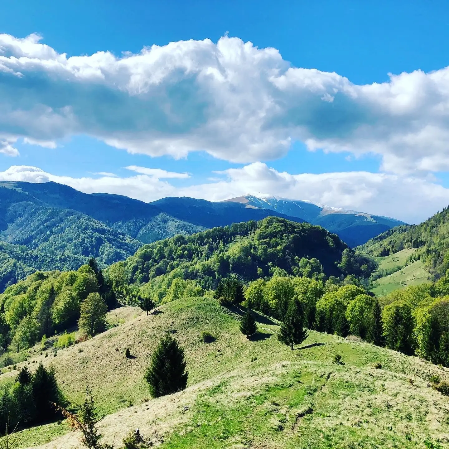 Cabana Râușor - Vf. Măguricea