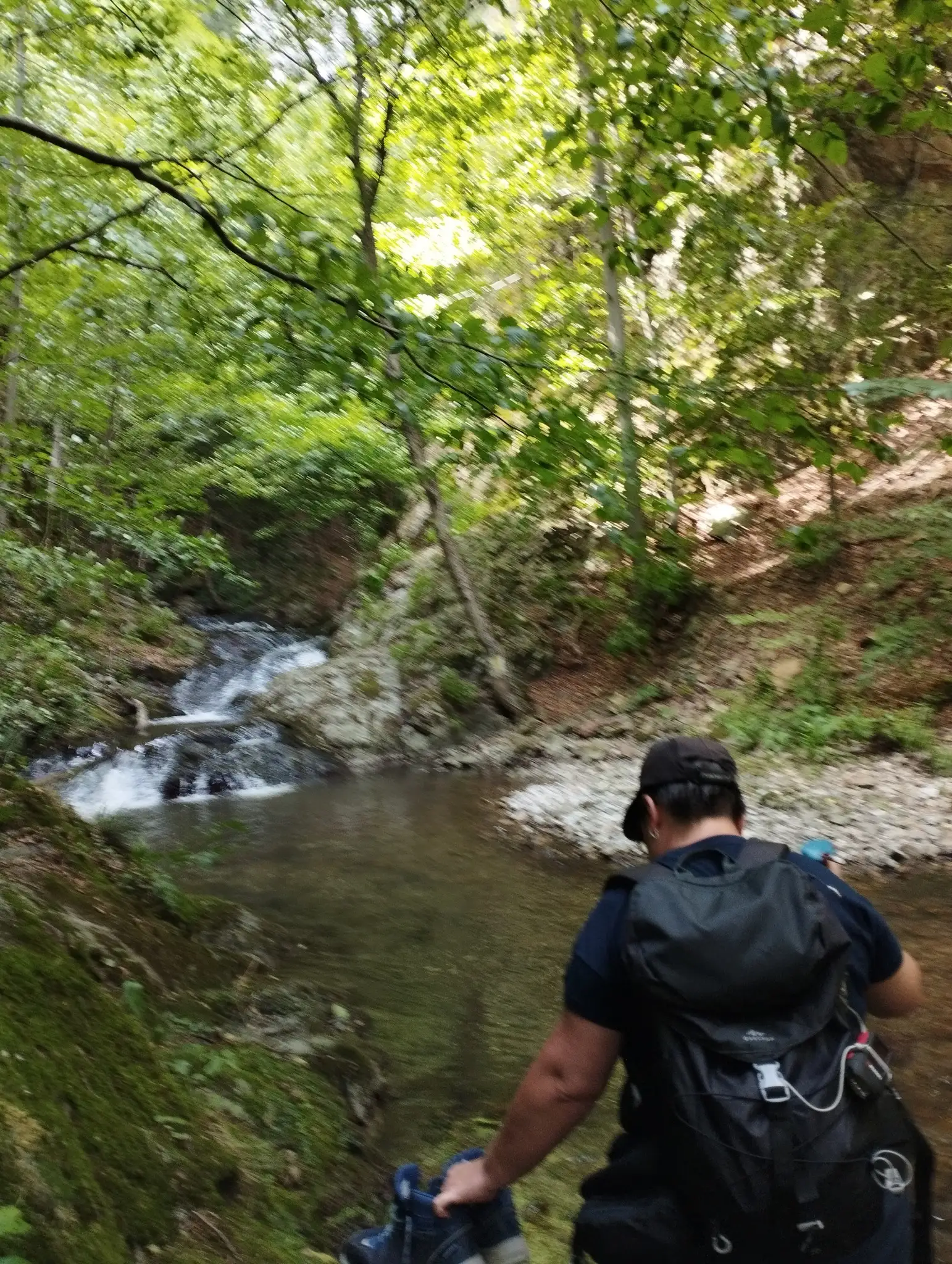 Cheile Prisacinei, Masivul Cernei-Mehedinti, Parcul National Domogled - Valea Cernei