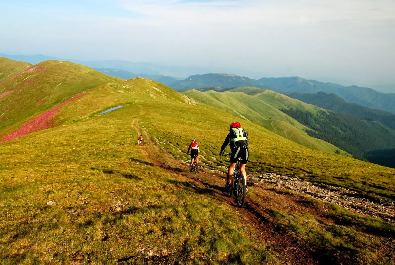 Bădeni - Vf. Leaota - Bădeni