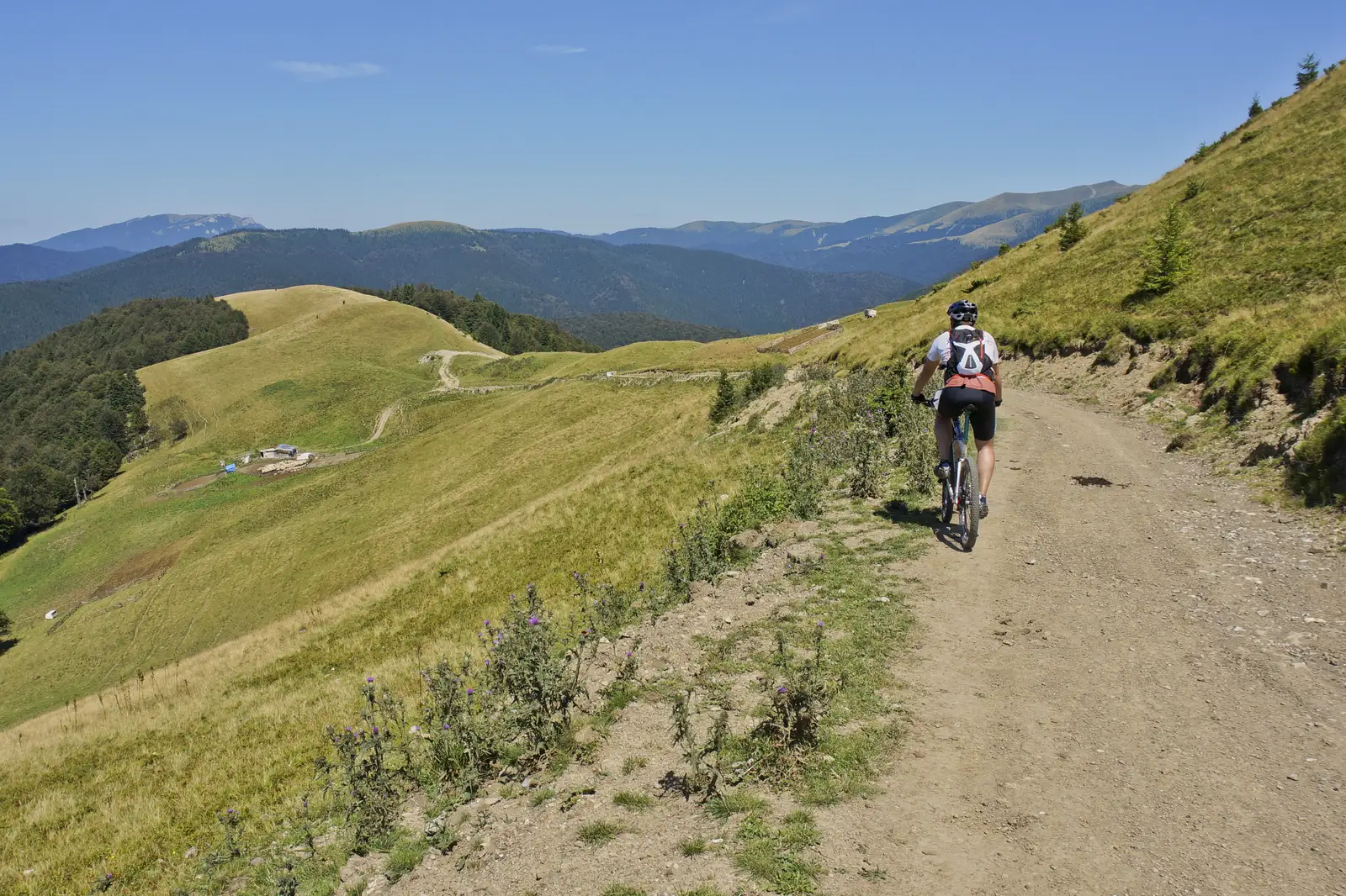 Telegondola Azuga - Muntele Urechea - Telegondola Azuga