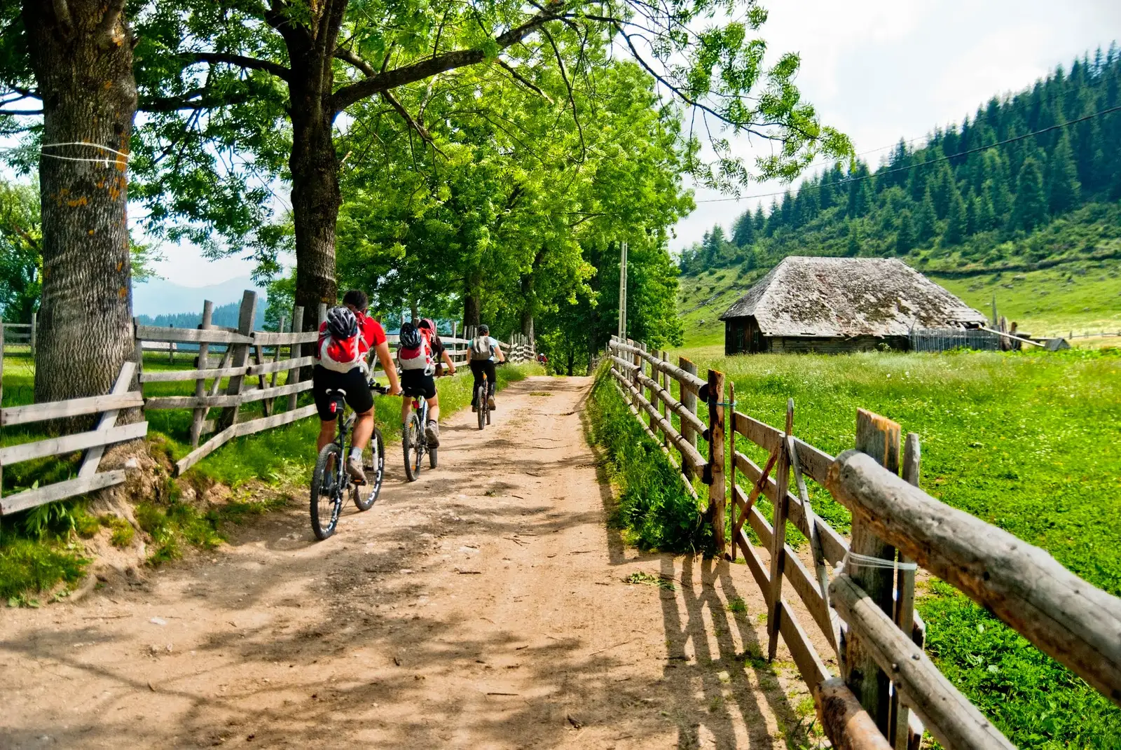 Moieciu de Jos - Dâmbovicioara - Moieciu de Jos
