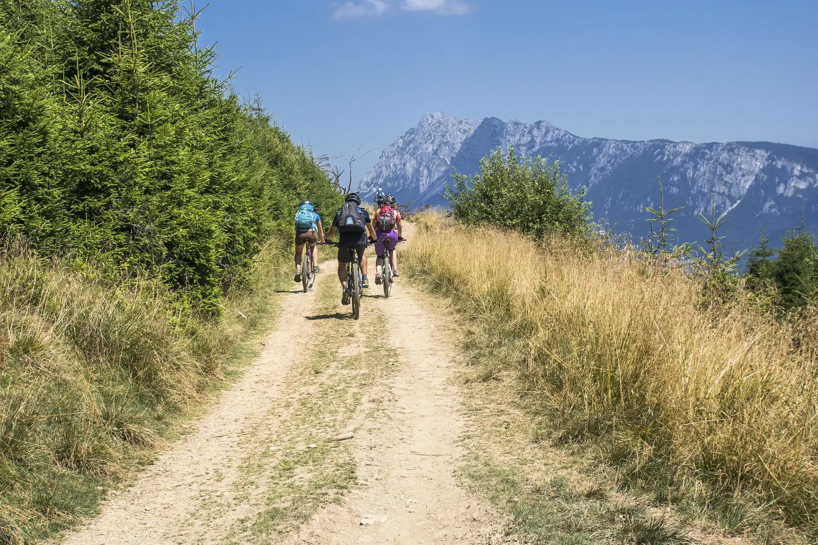 Rucăr - Vf. Păpușa și retur