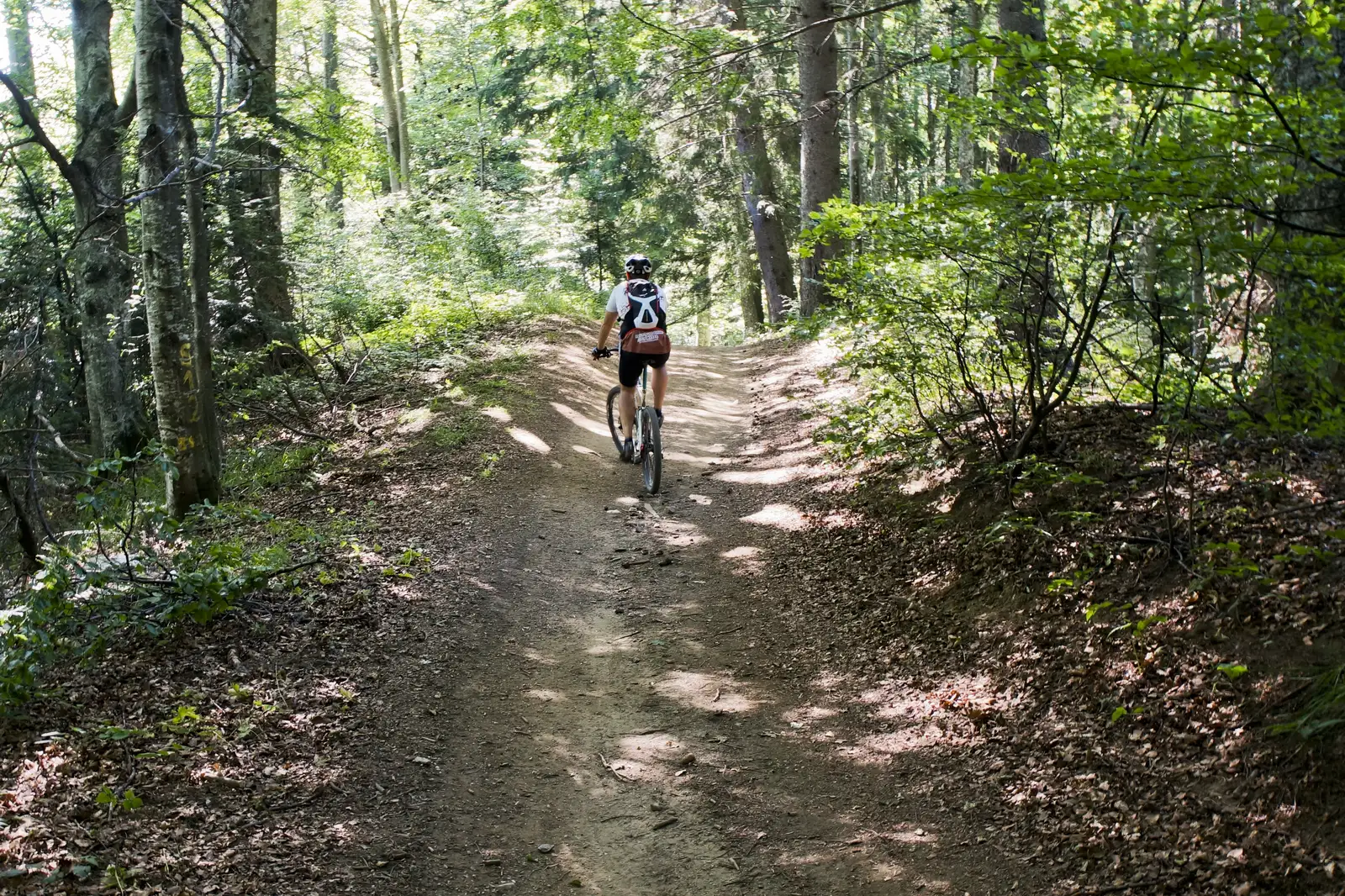 Telegondola Azuga - Culmea Sorica - Telegondola Azuga