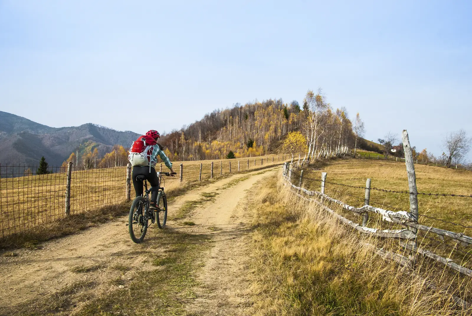 Vulcan - Paltin - Vulcan 