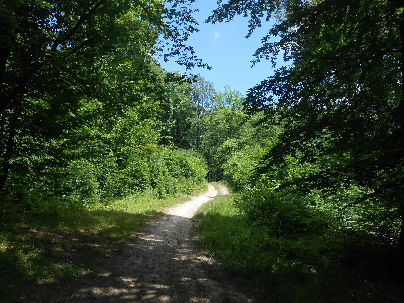 Brașov - Crucurul Mare - Brașov