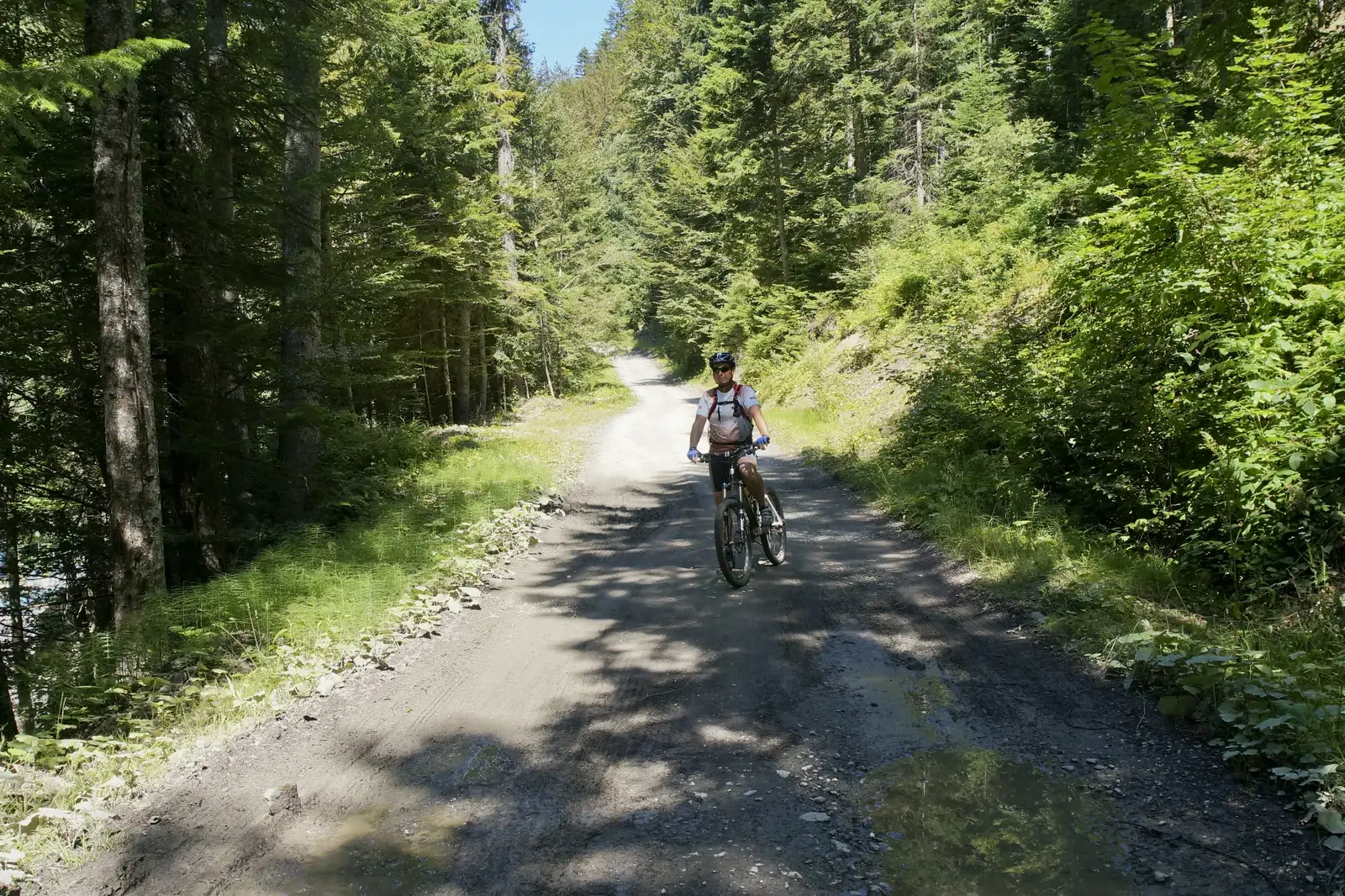 Azuga - Muchia Susaiului - Azuga