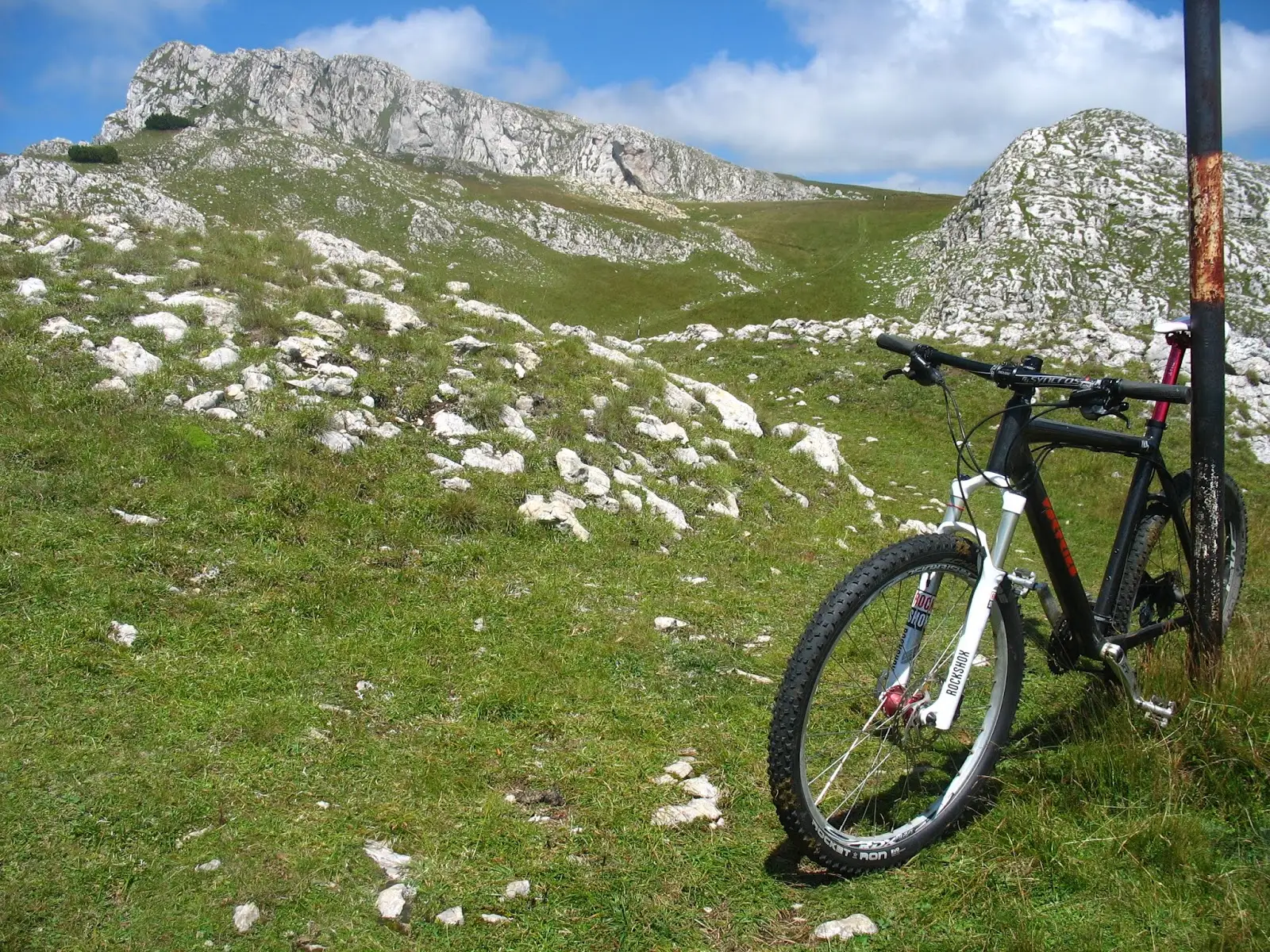 Bușteni - Vf. Omu - Bușteni