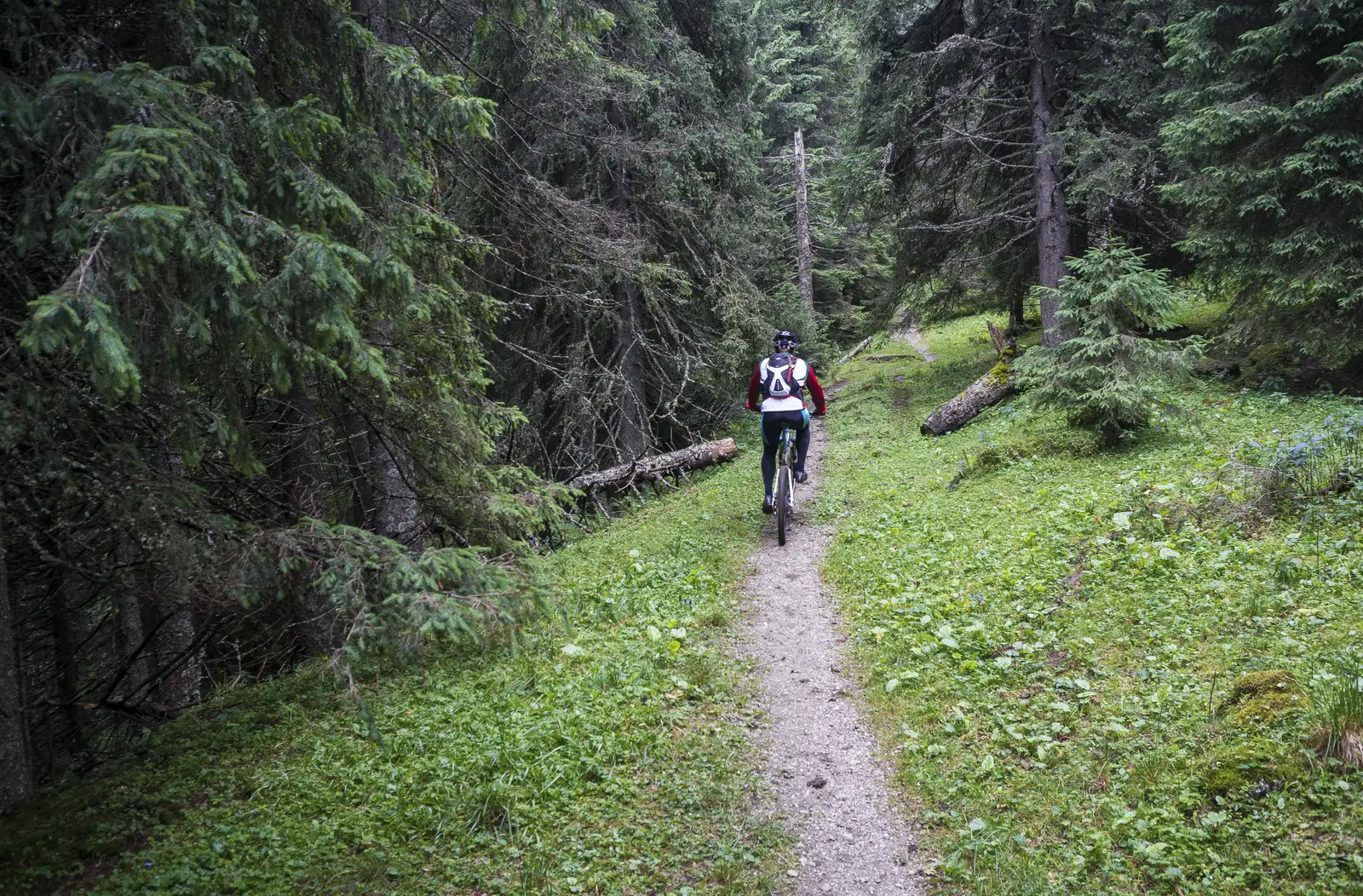 Predeal - Cabana Poiana Izvoarelor - Predeal