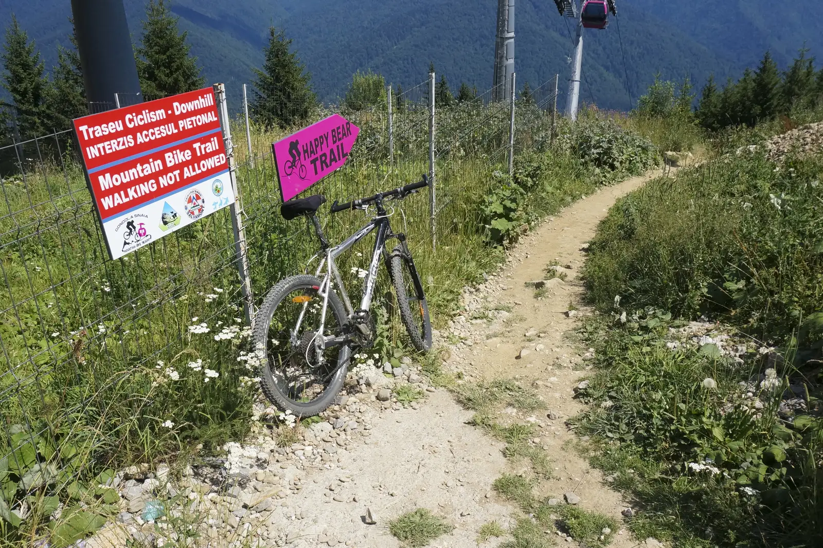 Traseu downhill Happy Bear - Bike Resort Sinaia