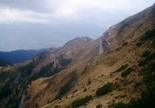 Circuit Muntele Cearcănu V3