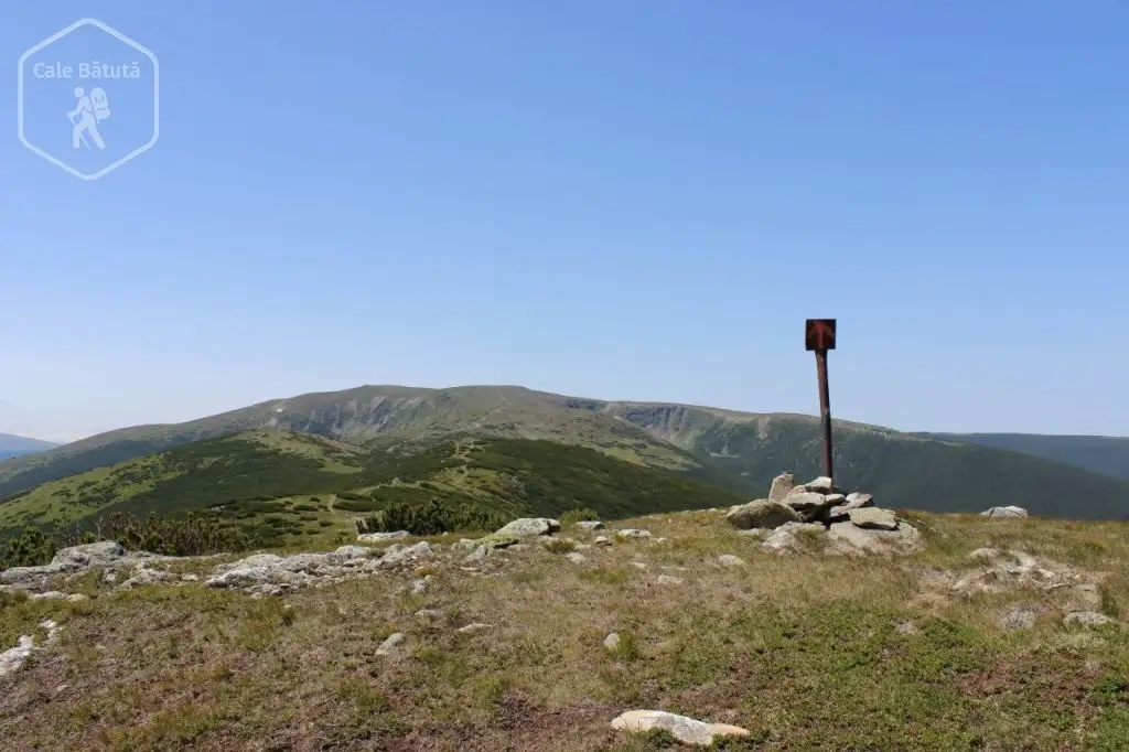 Păltiniș - Vf Cindrel - Cabana. Cârnaia - Păltiniș