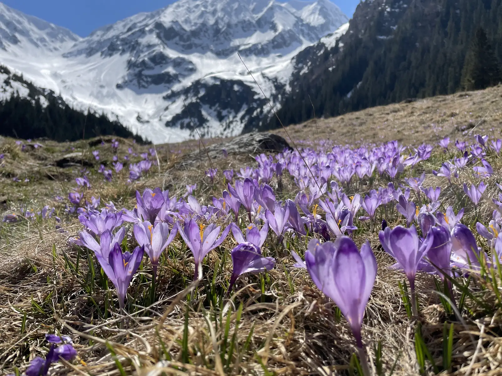 Muntii Fagaras | Valea Sambetei si Fereastra Mare