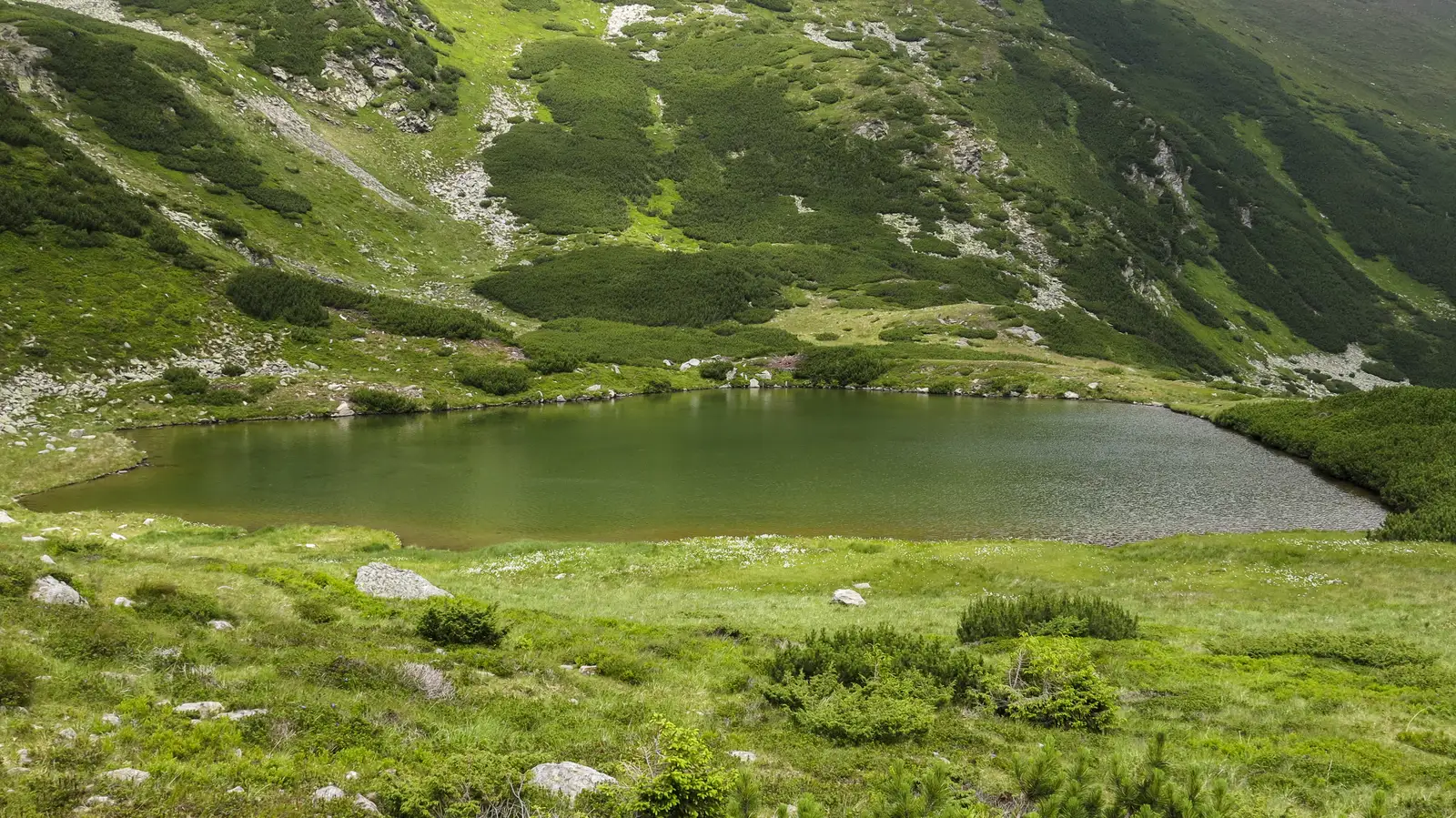 Gura Lalei - Şaua Ineuţului - Șaua Cu Lac