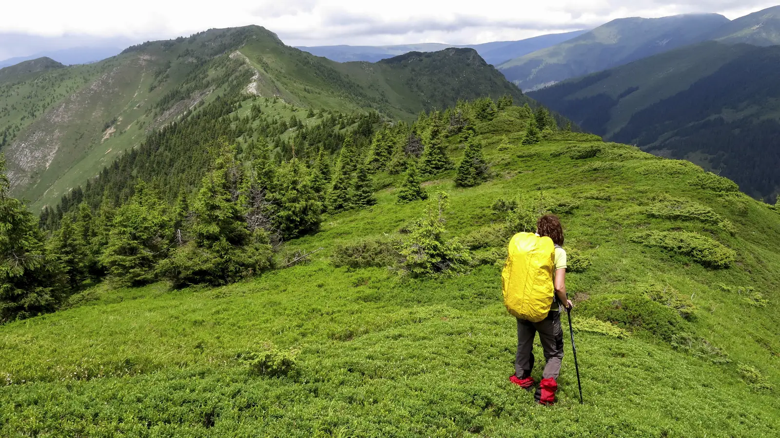 Sângeorz-Băi - Vf. Craiu - Vf. Ţapului - Şaua Obârşia Rebrii