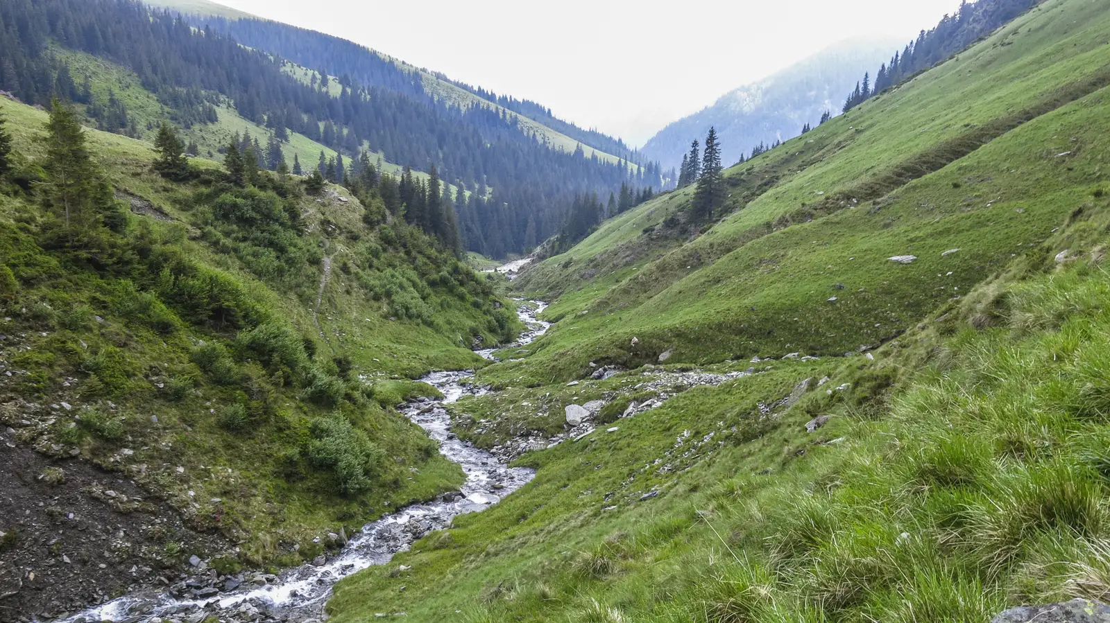 Parva - Între Rebre - Tarniţa La Cruce