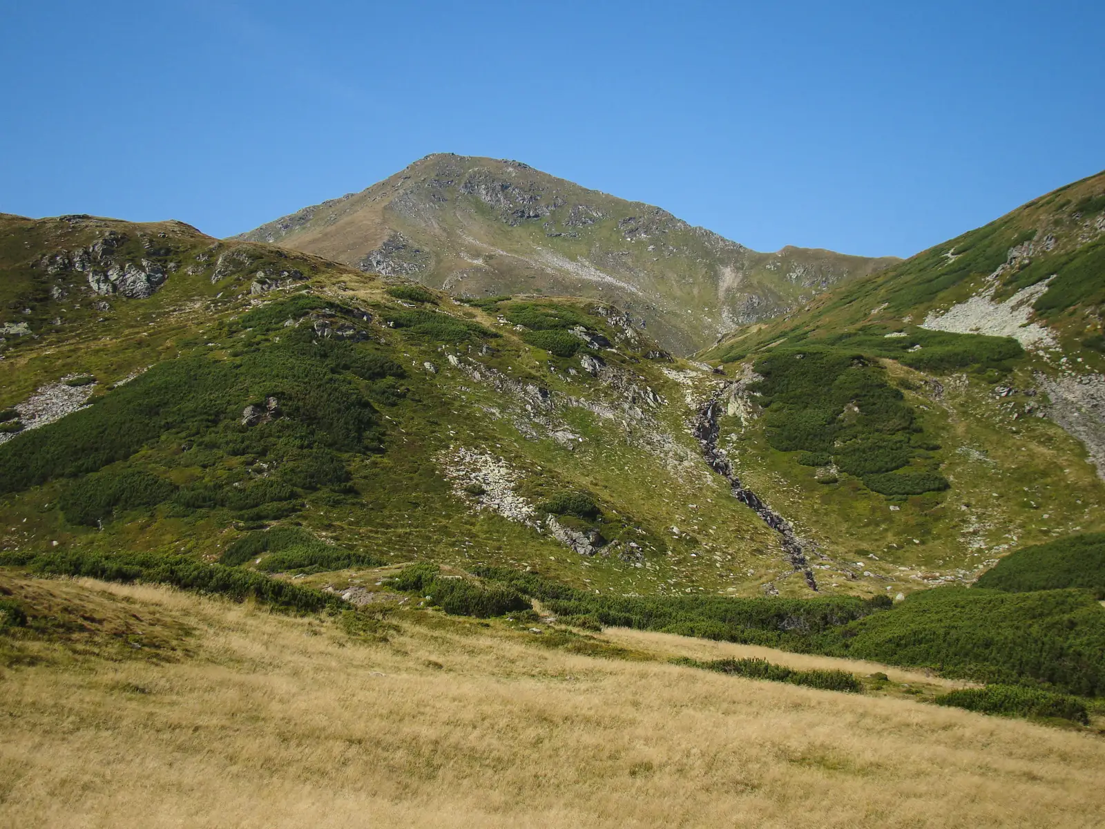 L. Lala Mare - Şaua Gajei