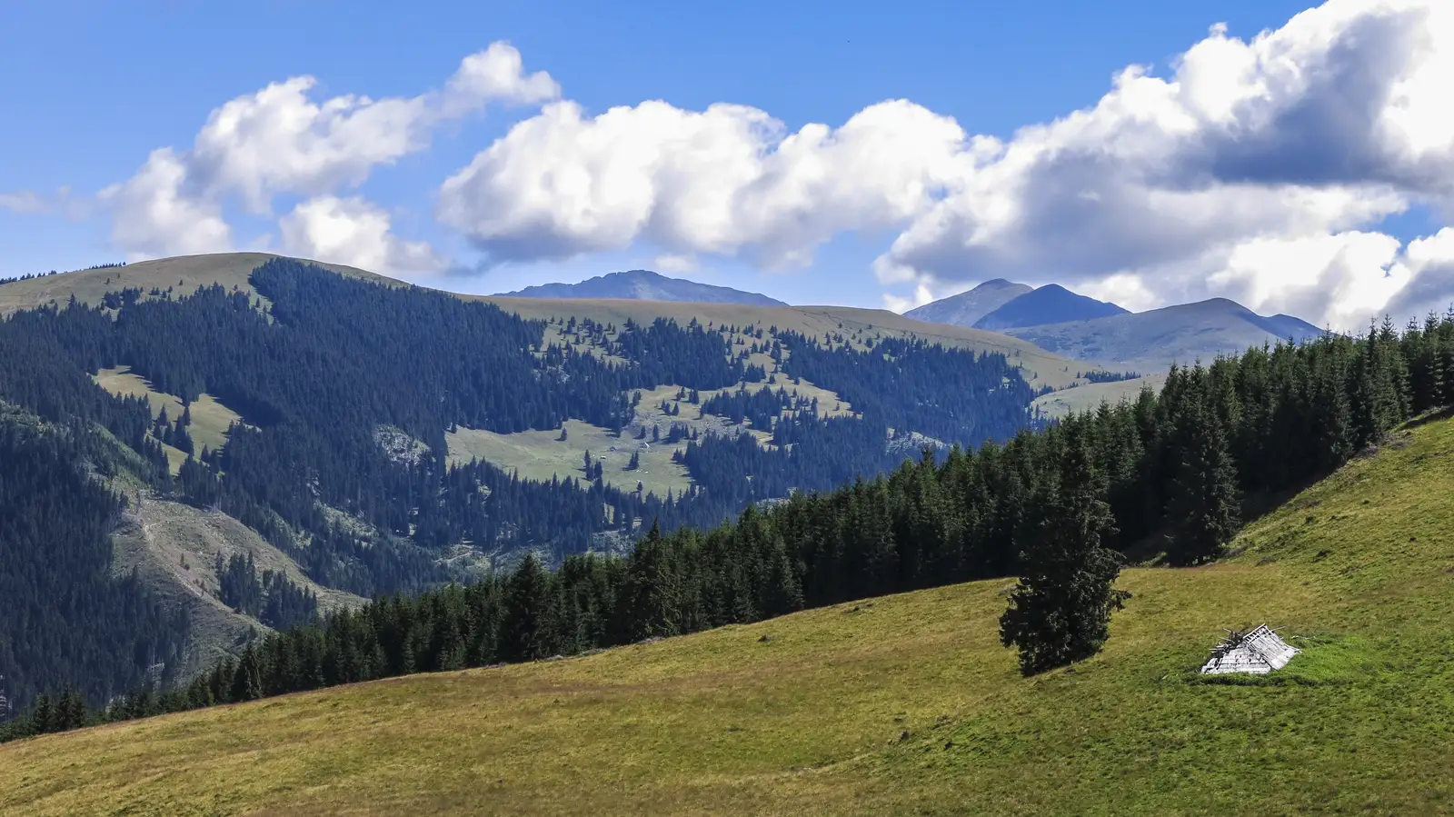 Telciu - Şaua Tomnatic - Şaua Bătrânei