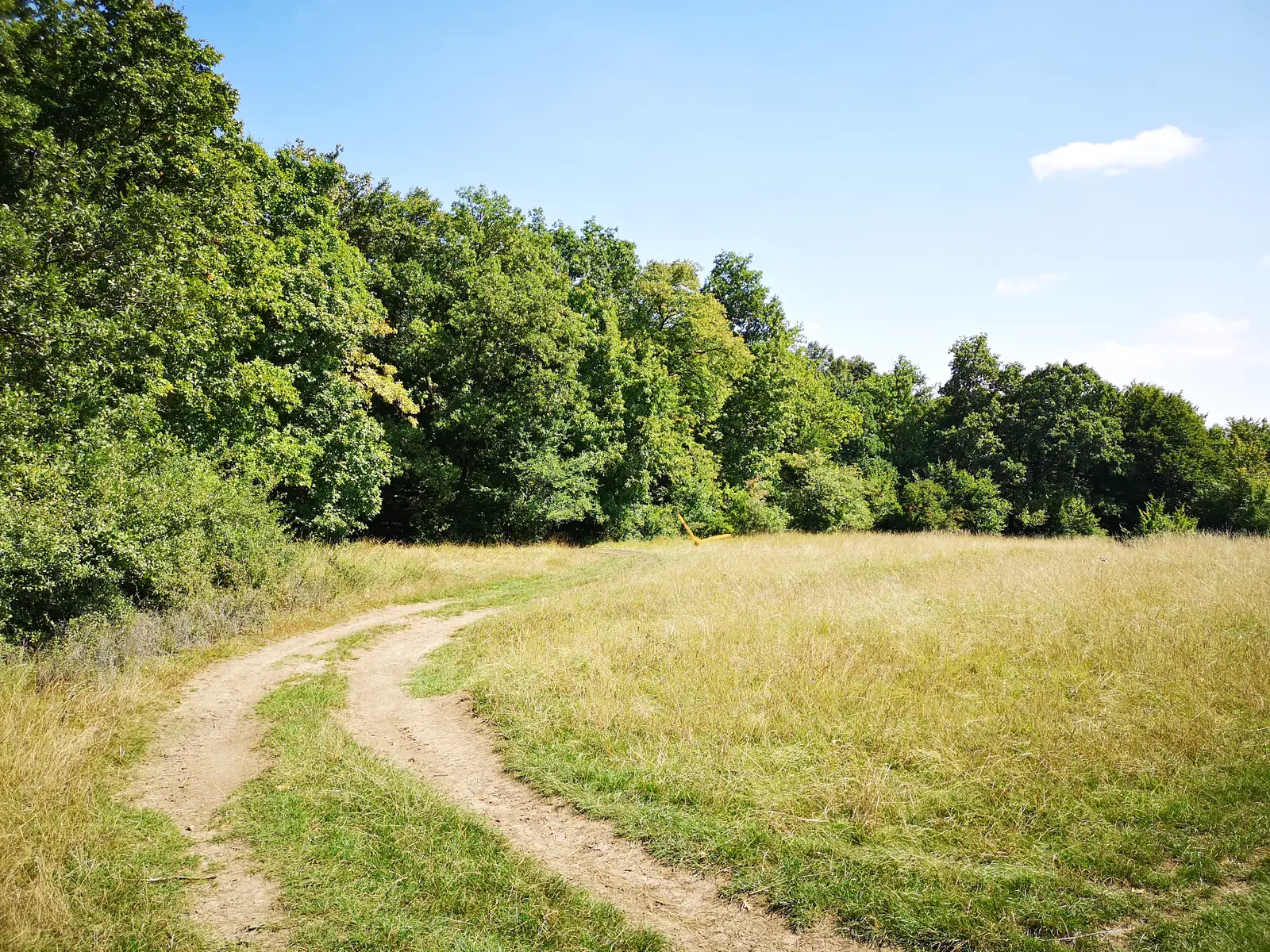 Cluj-Napoca - Dealul Sf. Pavel - Cluj-Napoca