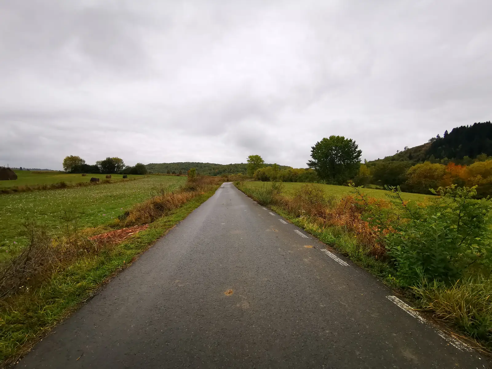 Cluj-Napoca - Viştea - Floreşti - Cluj-Napoca