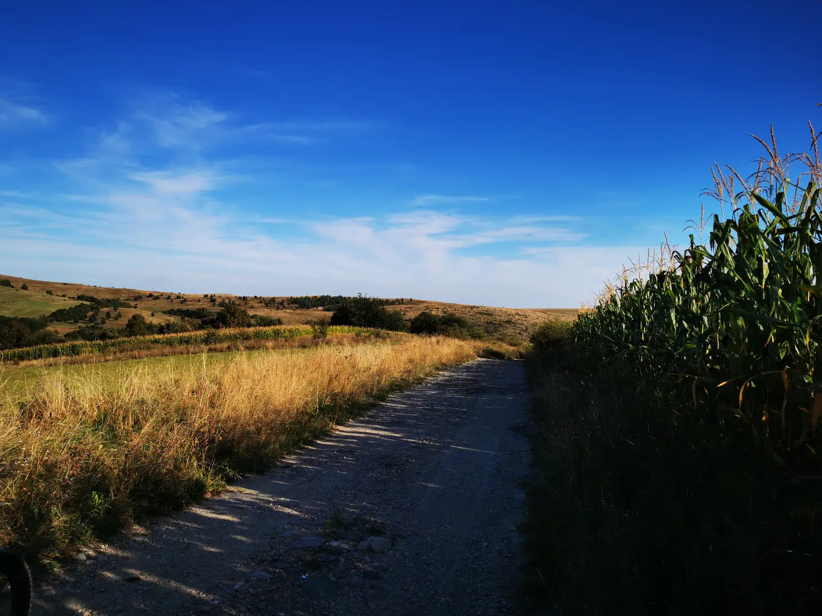 Cluj-Napoca - Casele Miceşti - Sărădiş - Şaua Páter - Cluj-Napoca
