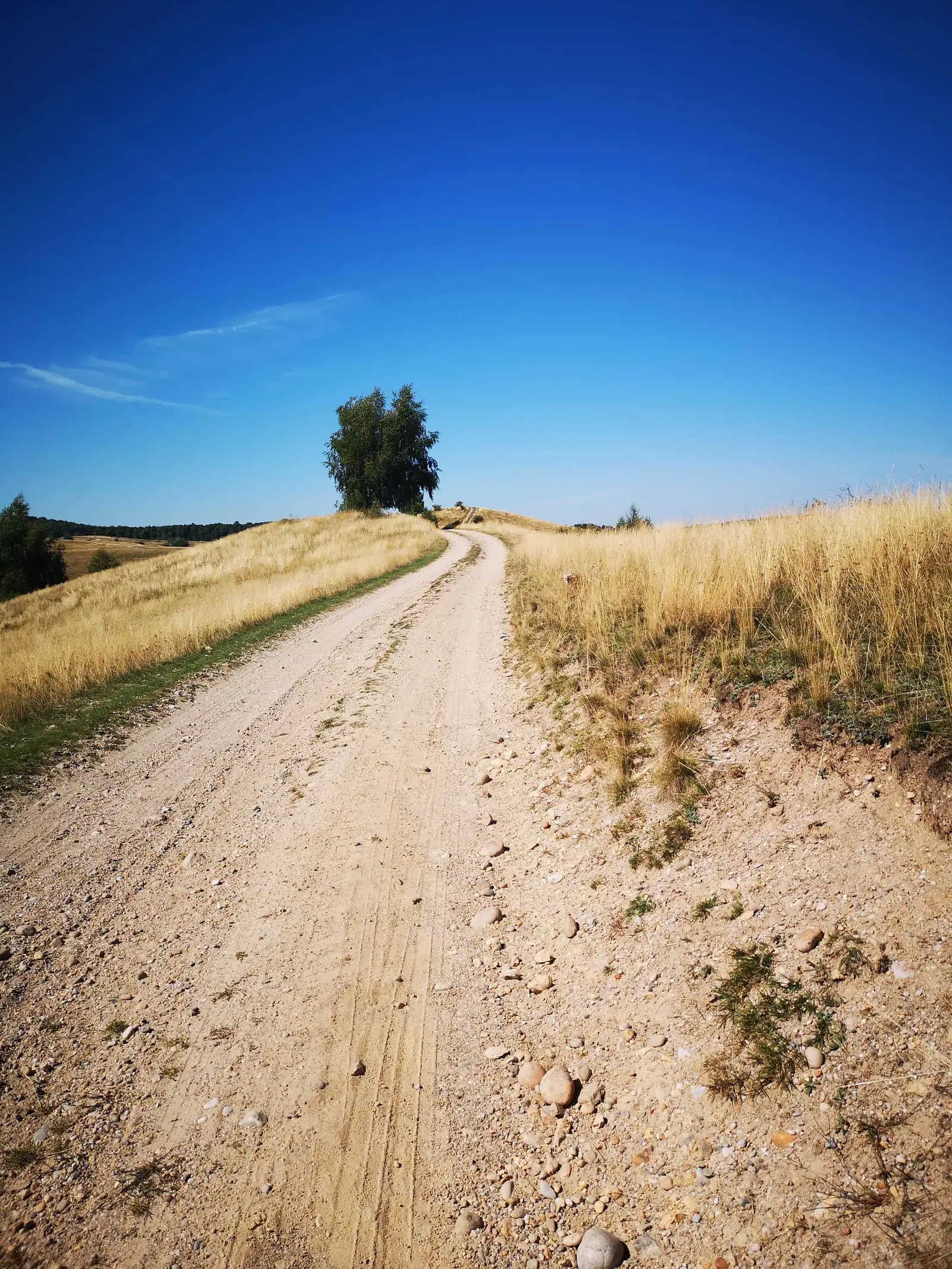 Cluj-Napoca - Şaua Páter - Râtul Penii - Cluj-Napoca