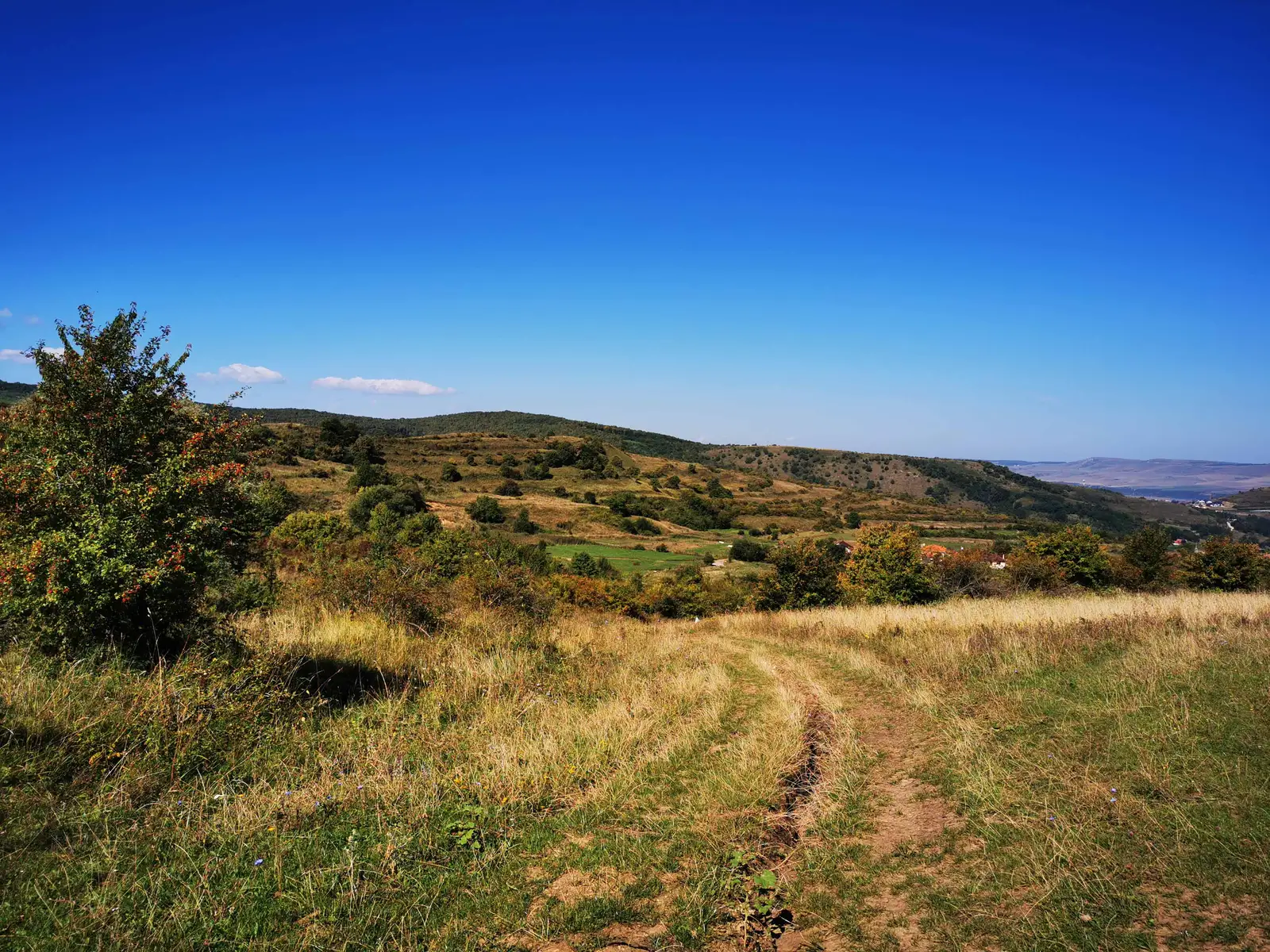 Cluj-Napoca - Vălişoara - Sălicea - Drumul Sf. Ioan - Cluj-Napoca