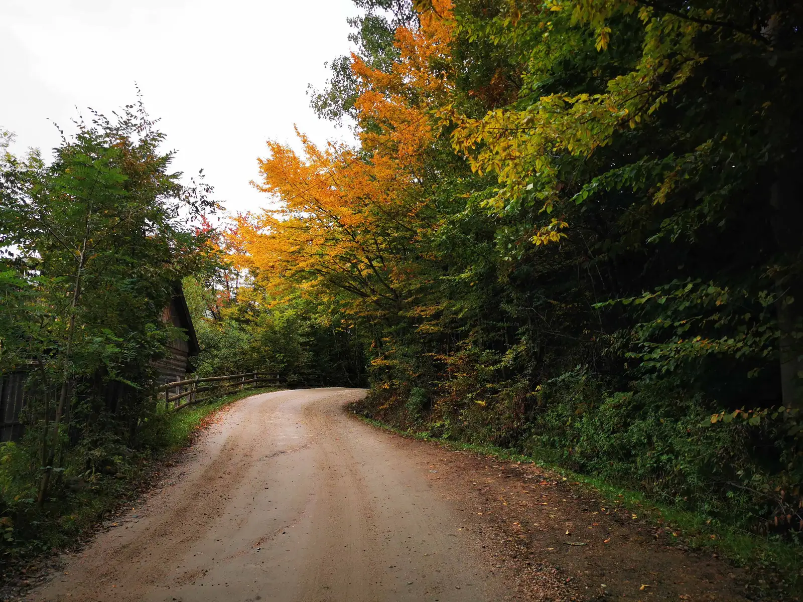 Gura Râştii - Mănăstirea Muntele Rece - Gura Râştii