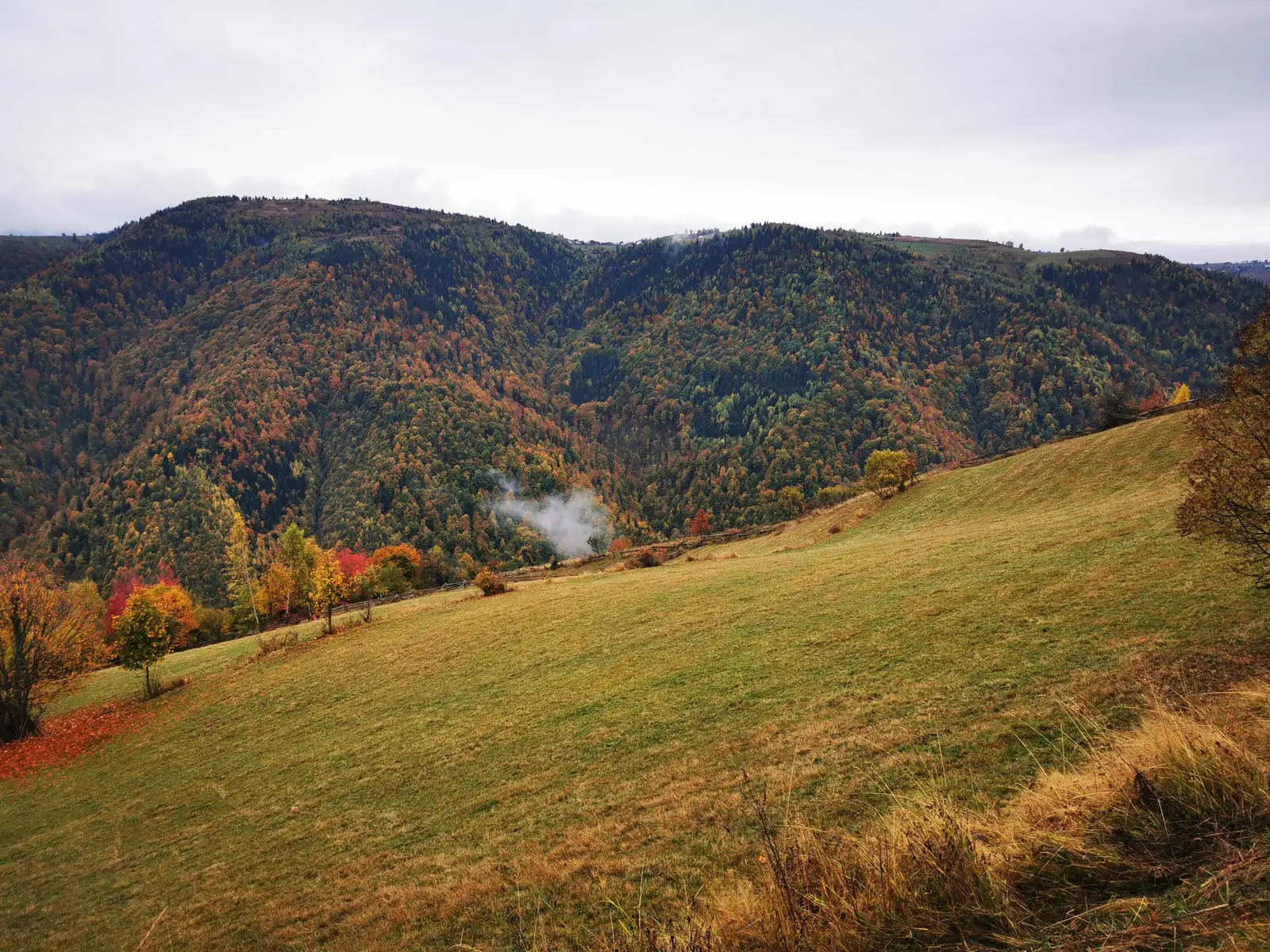 Gilău - Roseşti - Mărişel - Uzina - Gilău