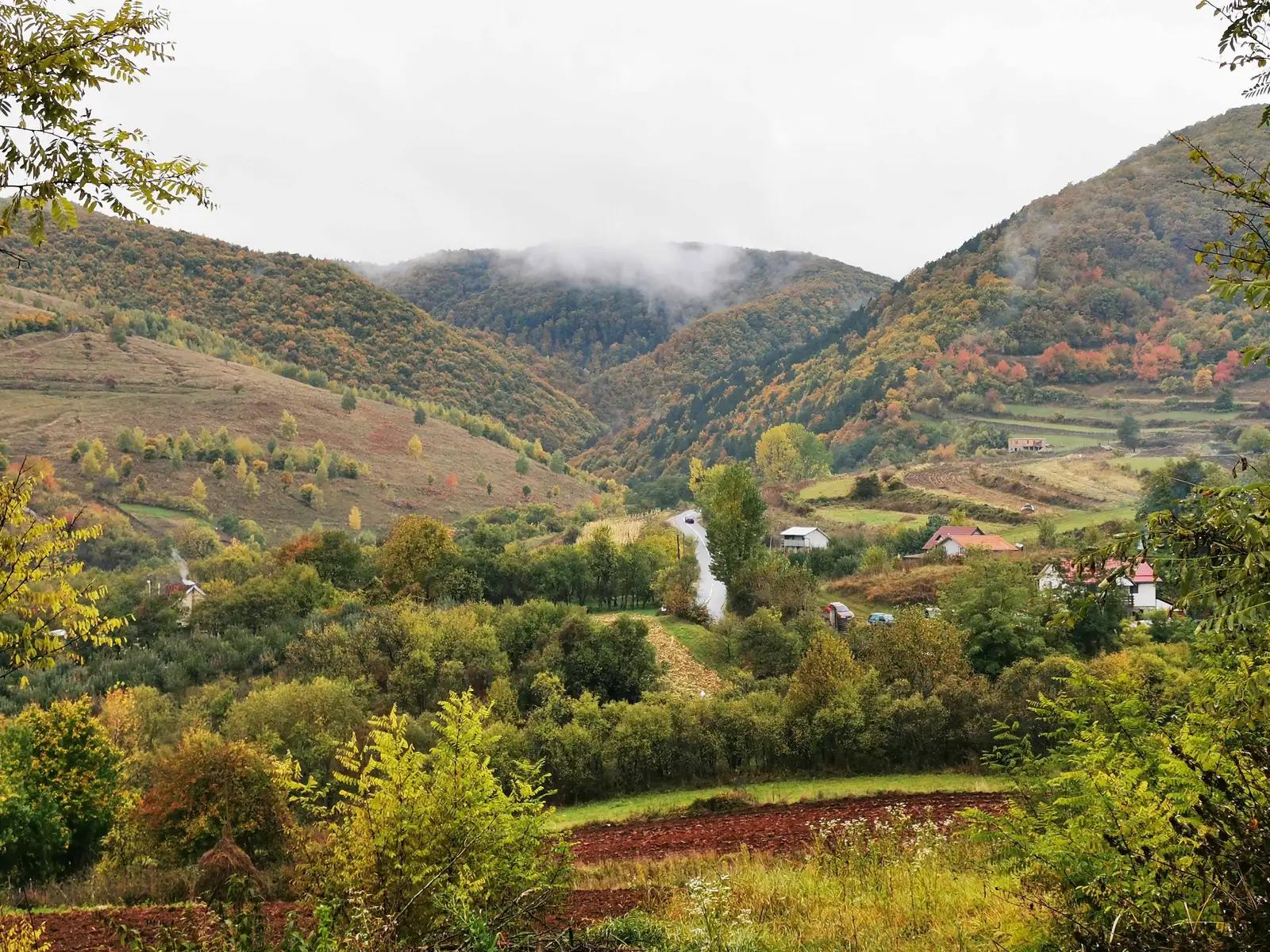 Căpuşu Mare - Mănăstireni - Căpuşu Mare