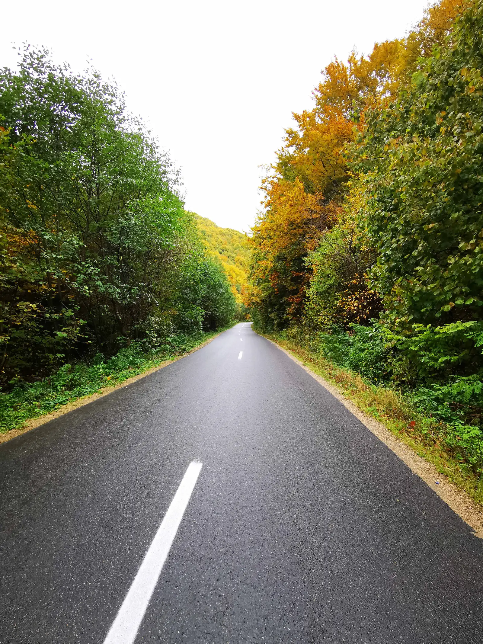 Căpuşu Mare - Mănăstireni - Rîşca - Agîrbiciu - Căpuşu Mare