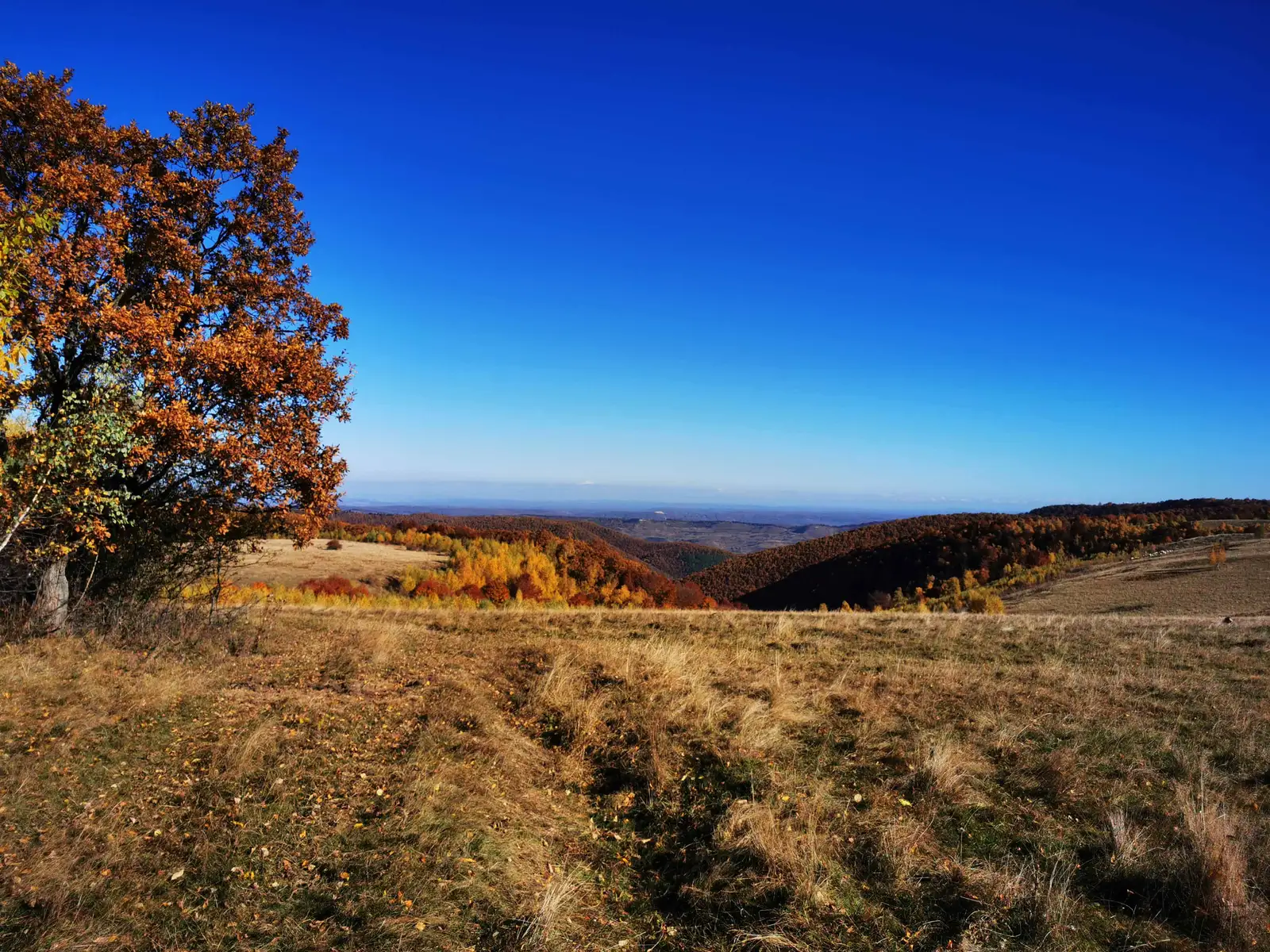 Căpuşu Mic - Defileul Căpuşului - Dîngău - Căpuşu Mic