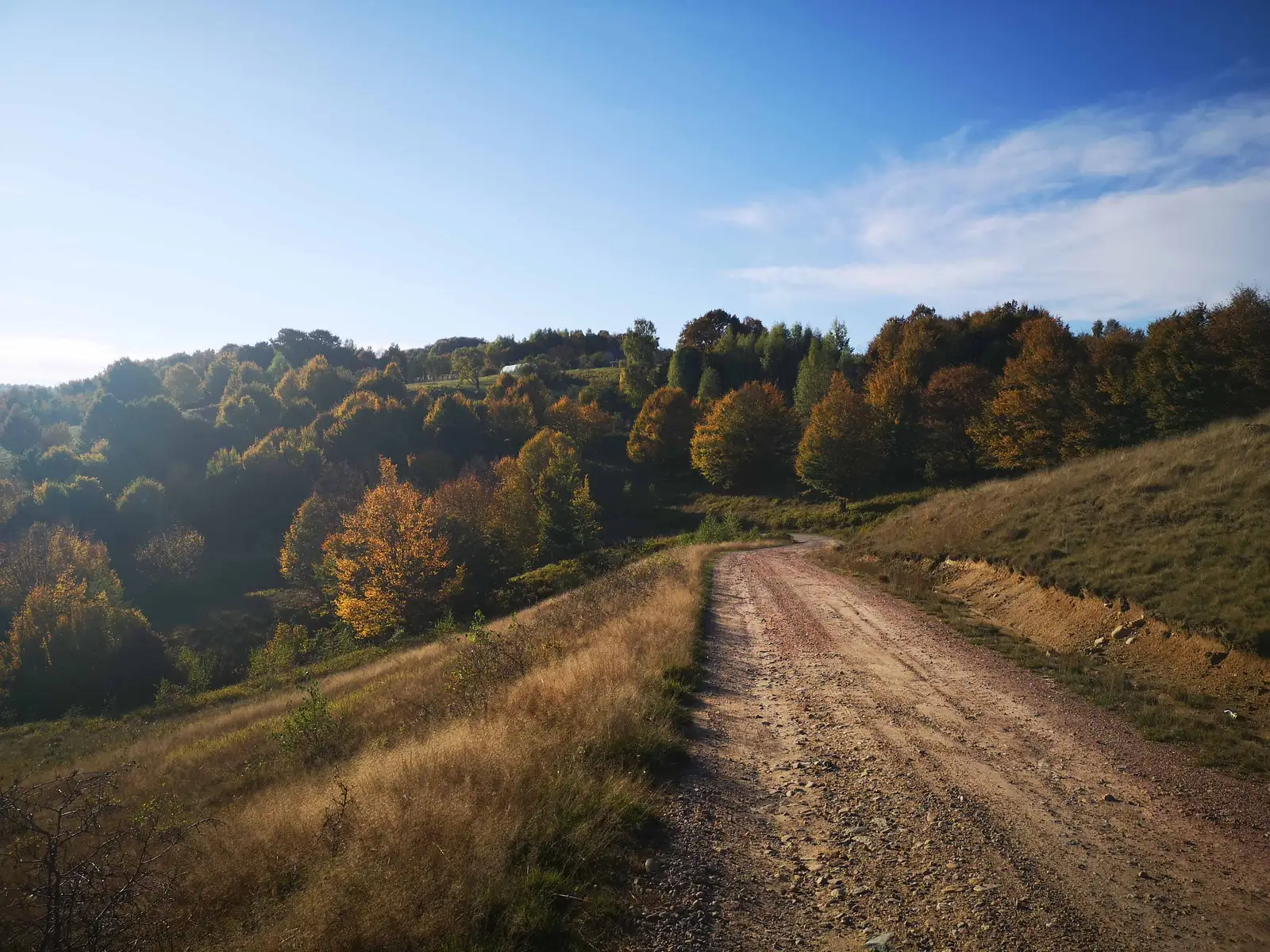 Negreni - Dealul Curtuşcii - Negreni