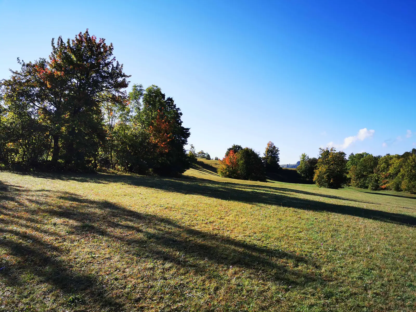 Bucea - Dealul Ineţii - Bucea