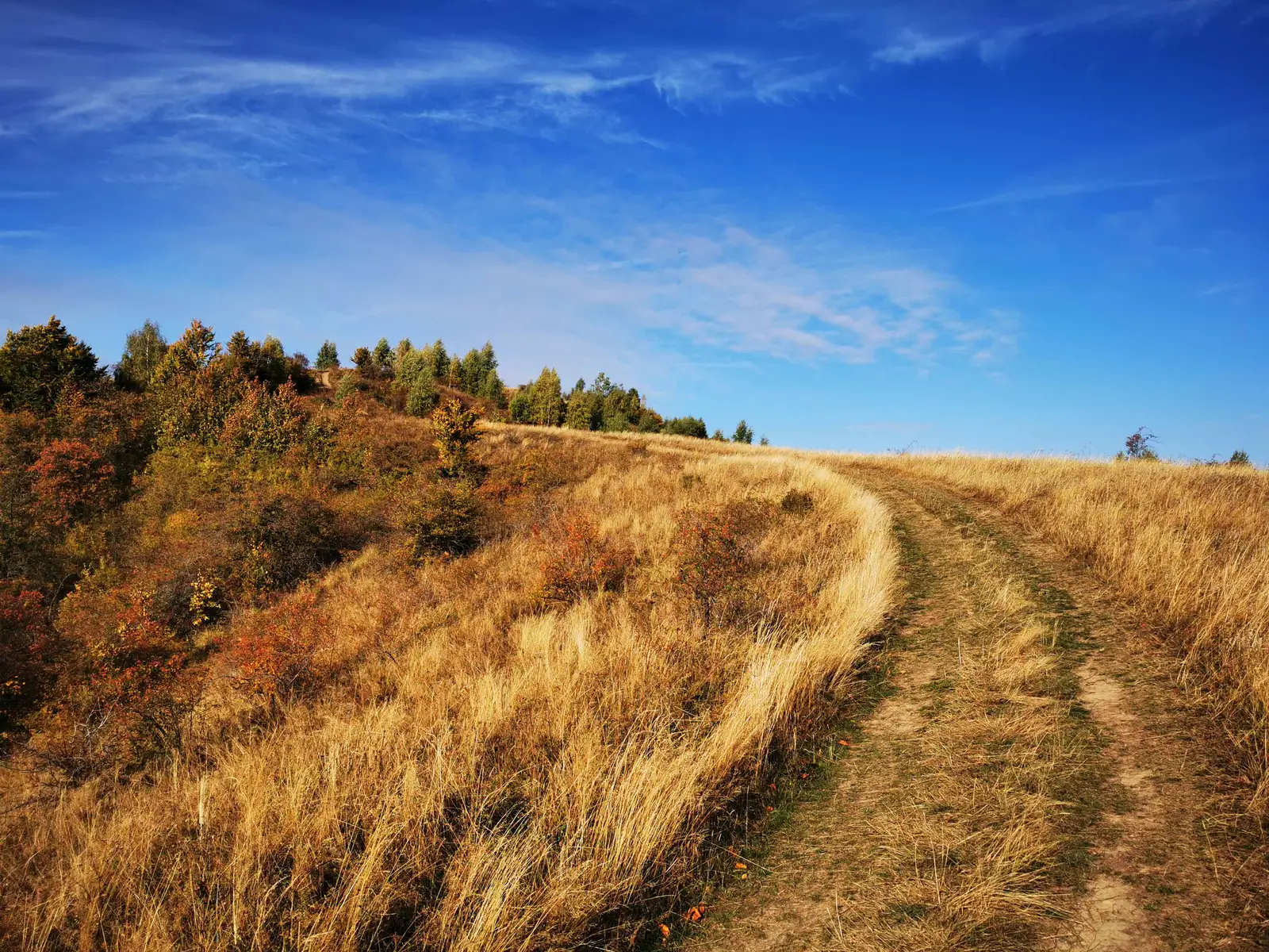 Săvădisla - Şaua Prislop - Săvădisla