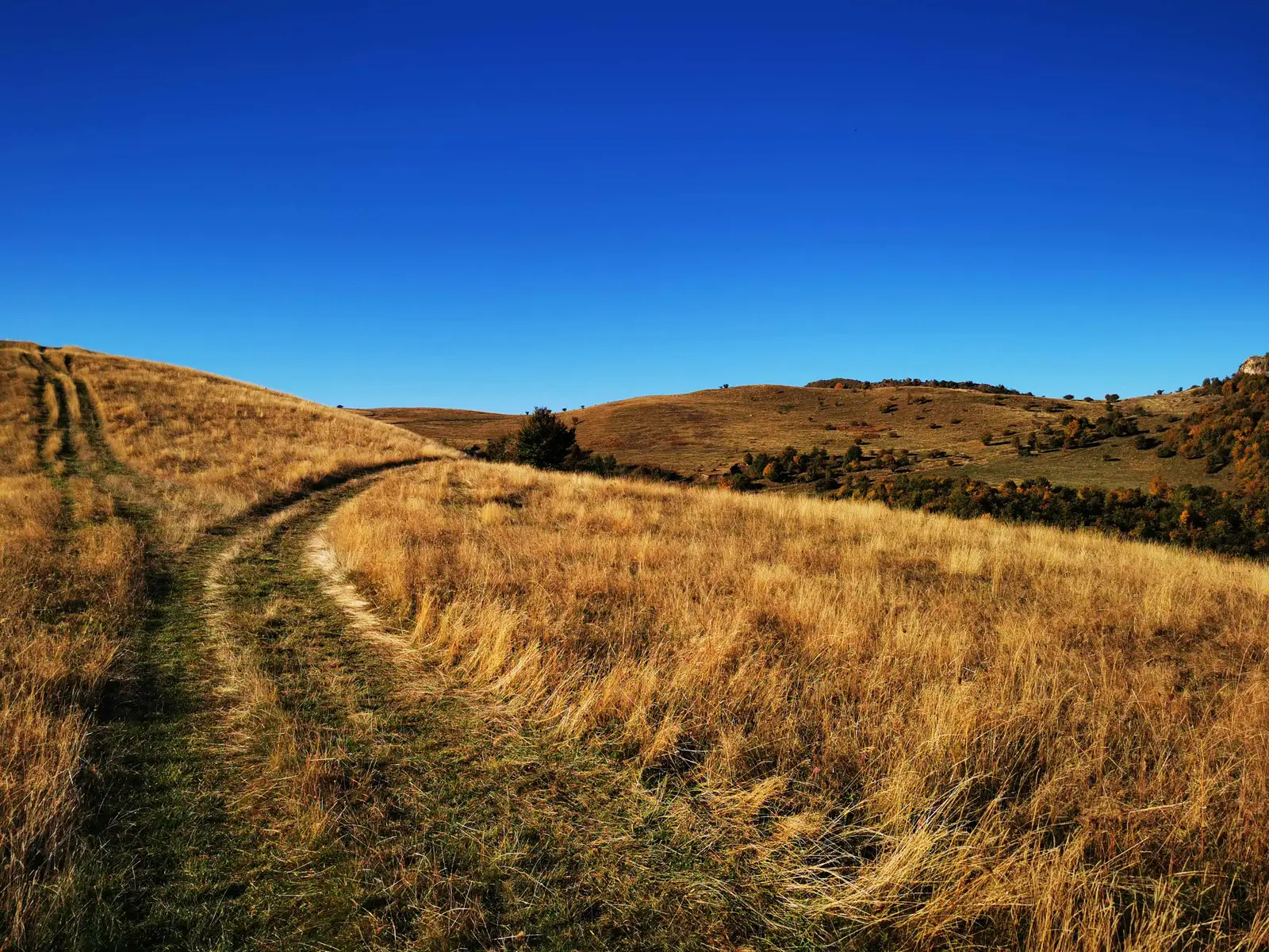 Liteni - Cetatea Lita - Liteni