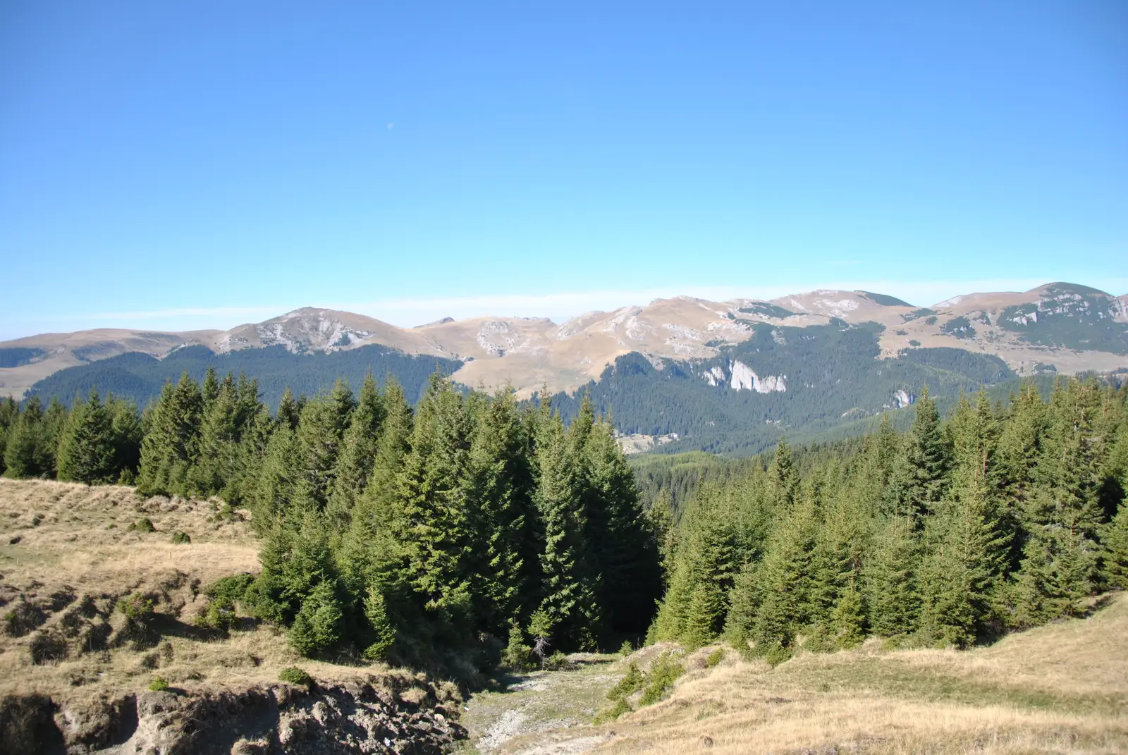 Sinaia - Şaua Vârfului cu Dor - Cabana Padina