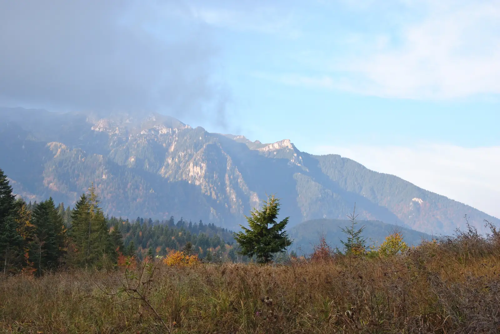 La Şipote - Şaua Baiului