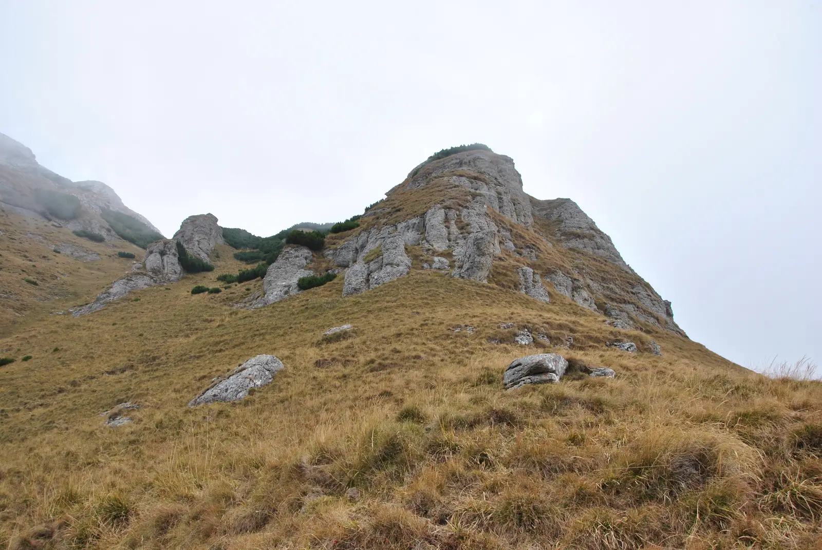 Hotel Peştera - Culmea Doamnele - Şaua Doamnele