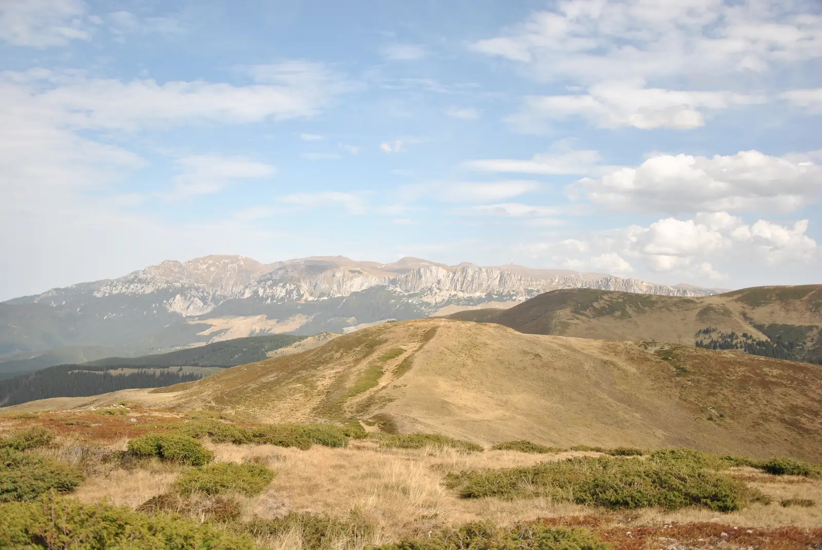 Traseul de ocolire Vf. Bucşa